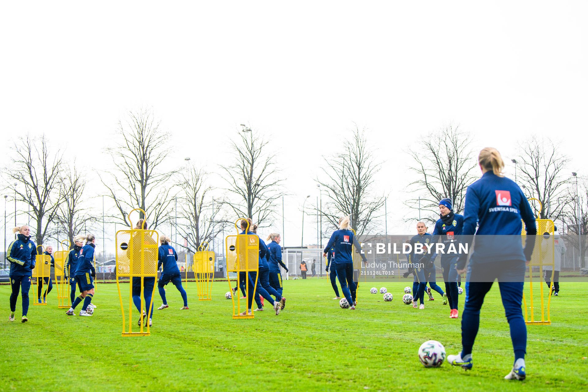 Gerneral view of the Swedish women's national football team