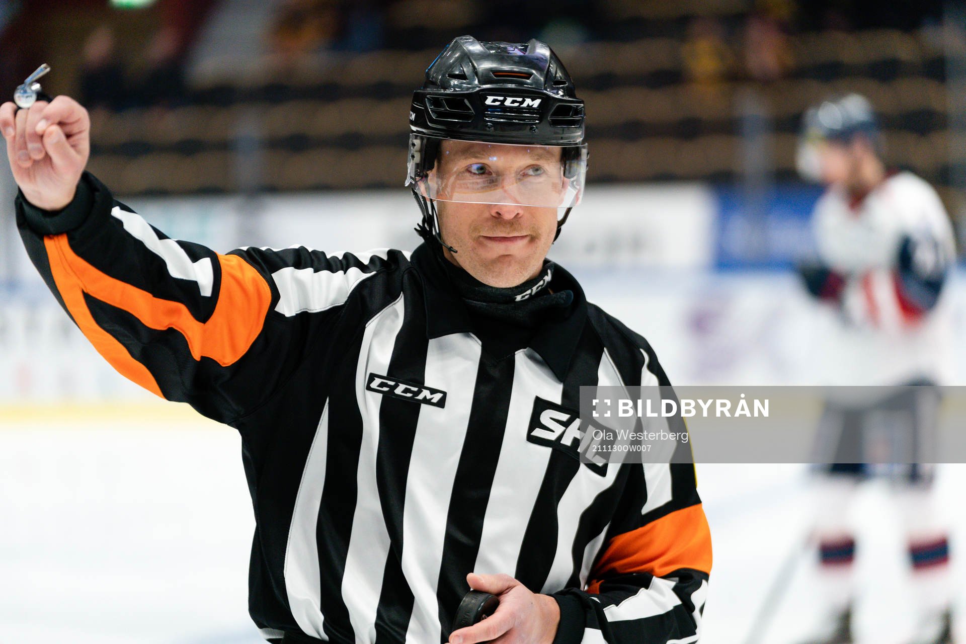 Domare Tobias Björk