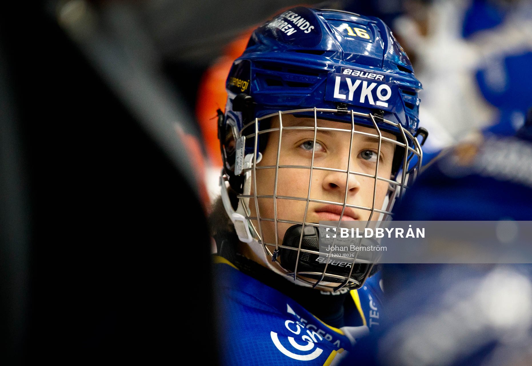 Leksands David Rosander