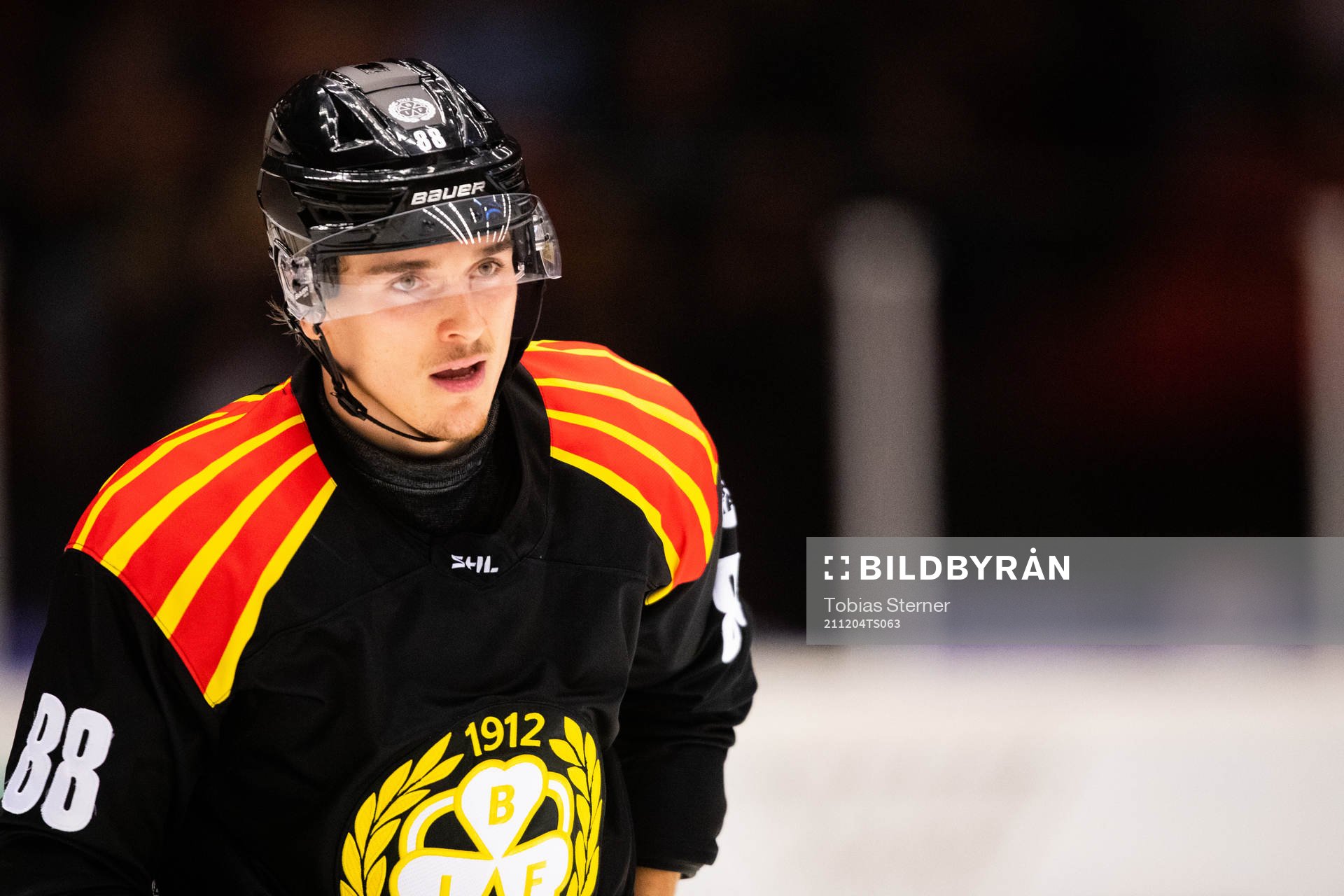 Brynäs Dmytro Timashov