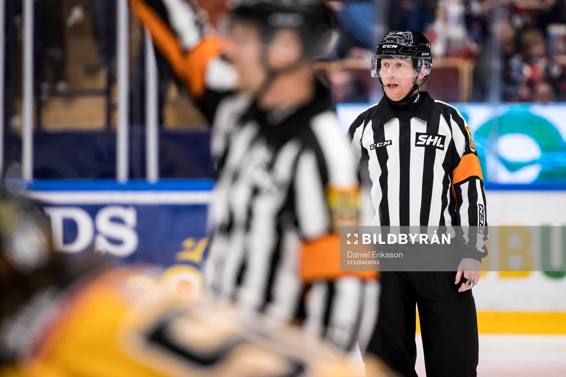 Domare Mikael Holm