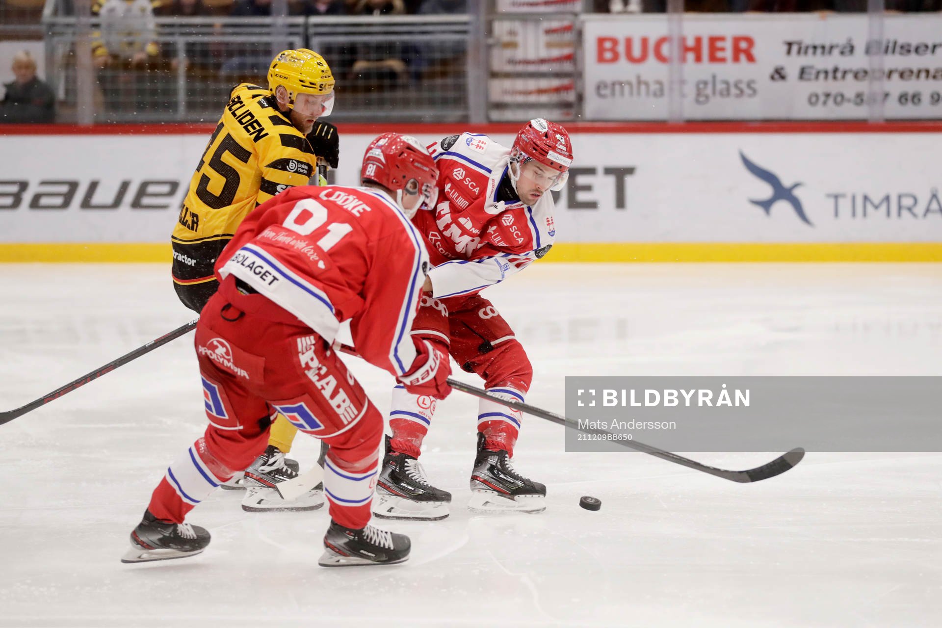Timrås Nolan Zajac