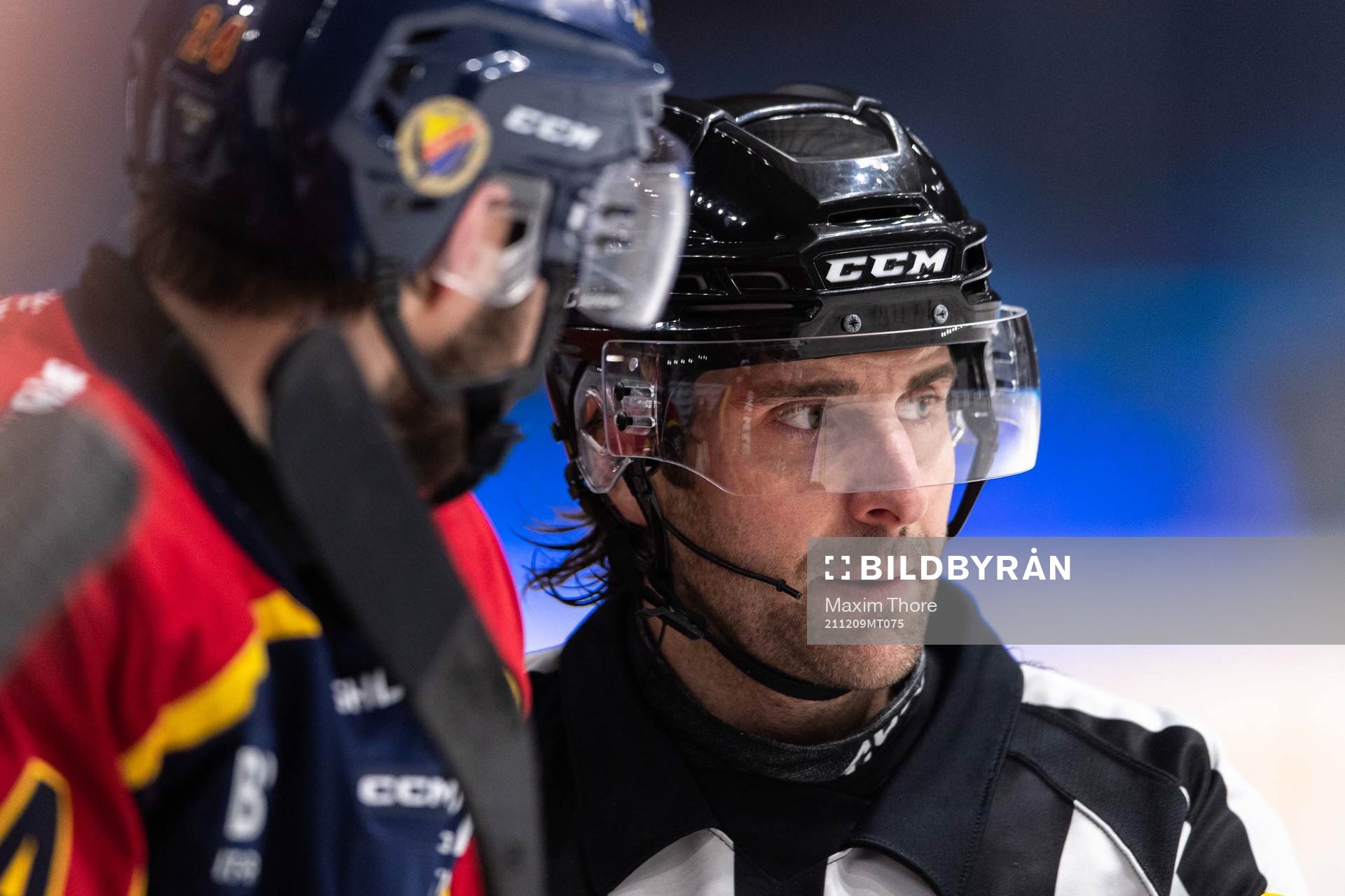 Domare Mikael Sjöqvist