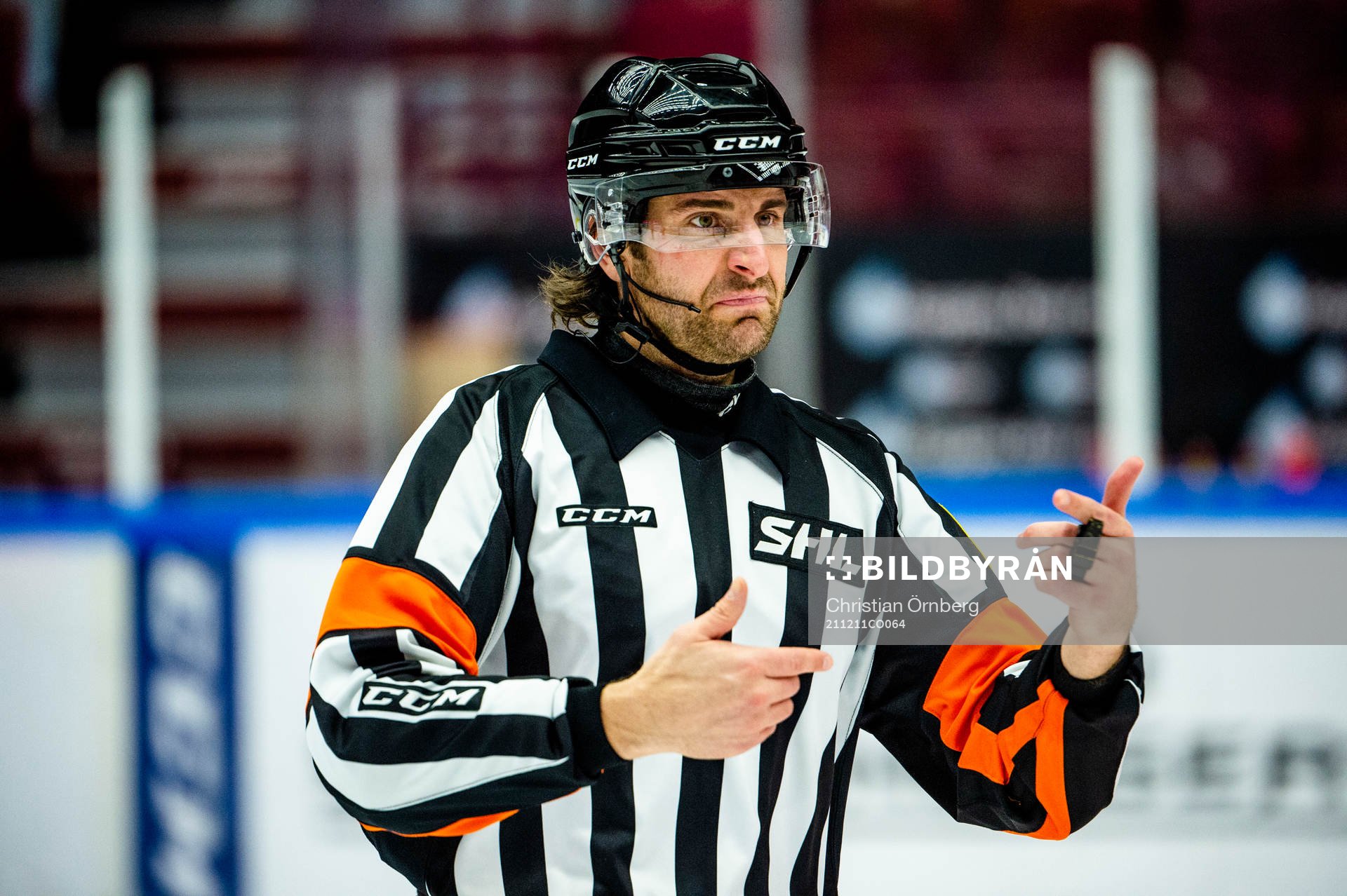 Domare Mikael Sjöqvist