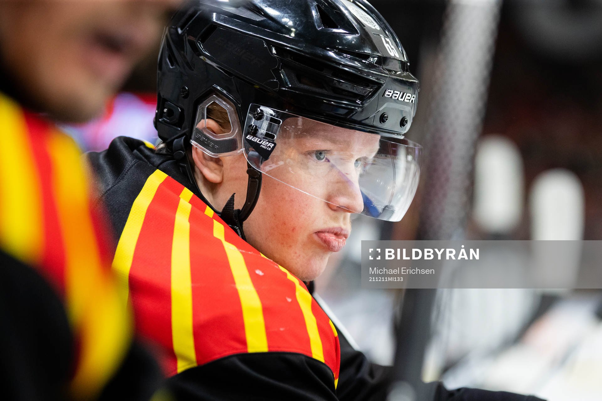 Brynäs Julius Bergman