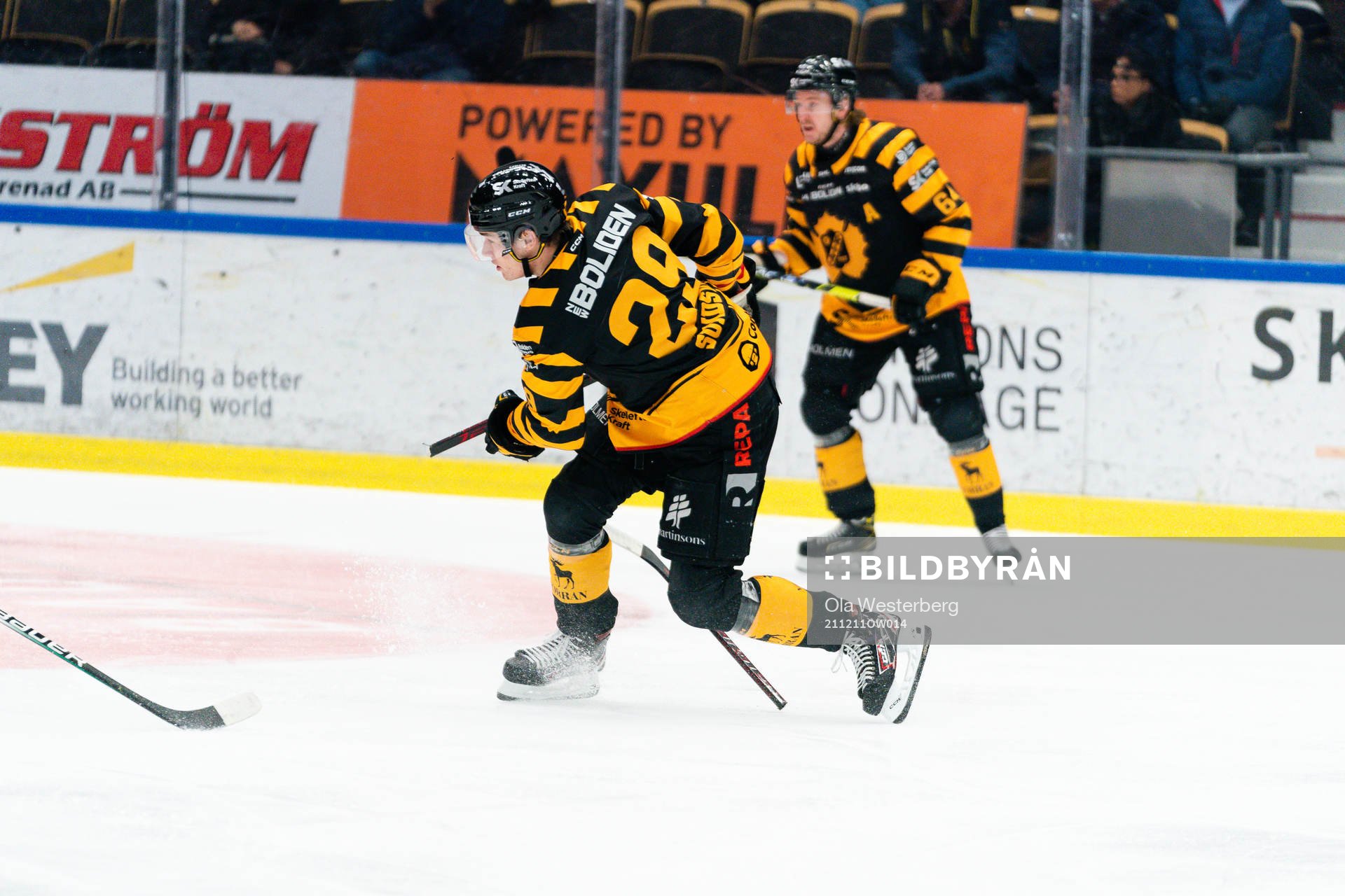 Skellefteås Albin Sundsvik