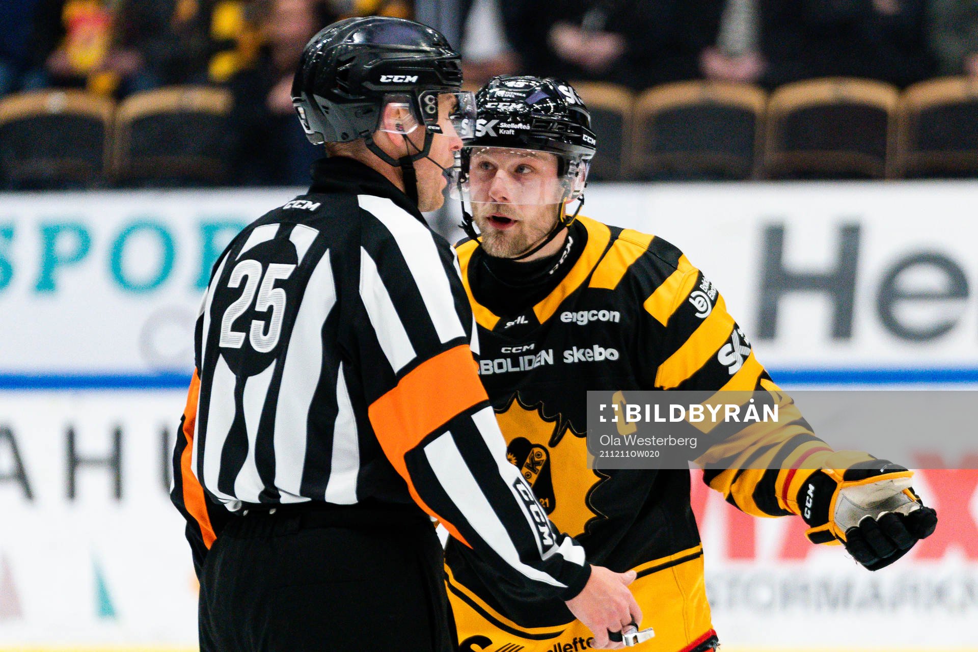 Domare Tobias Björk och Skellefteås Oscar Möller