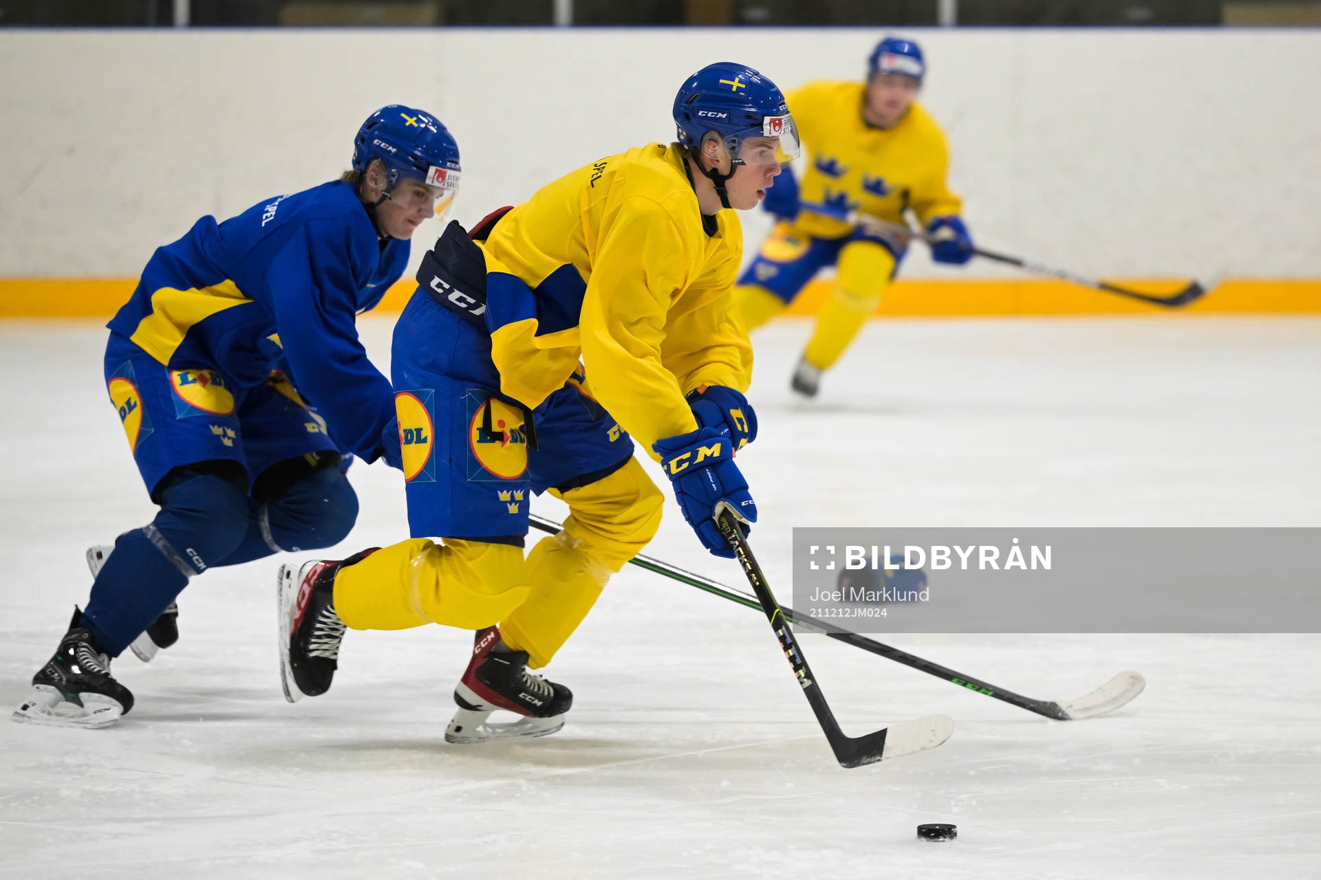 Albert Sjöberg of the Swedish under-20 national ice hockey