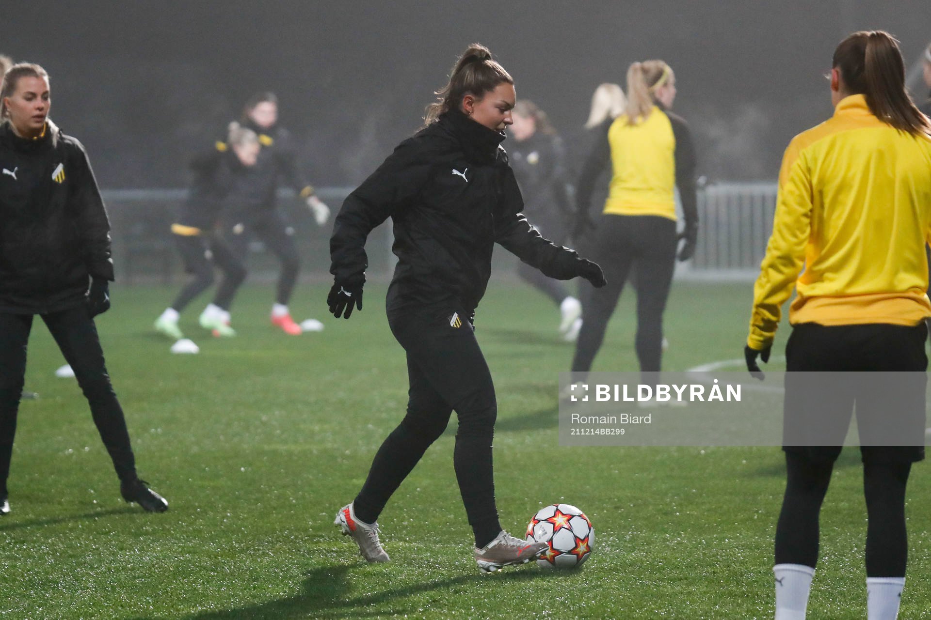 Team of Hacken