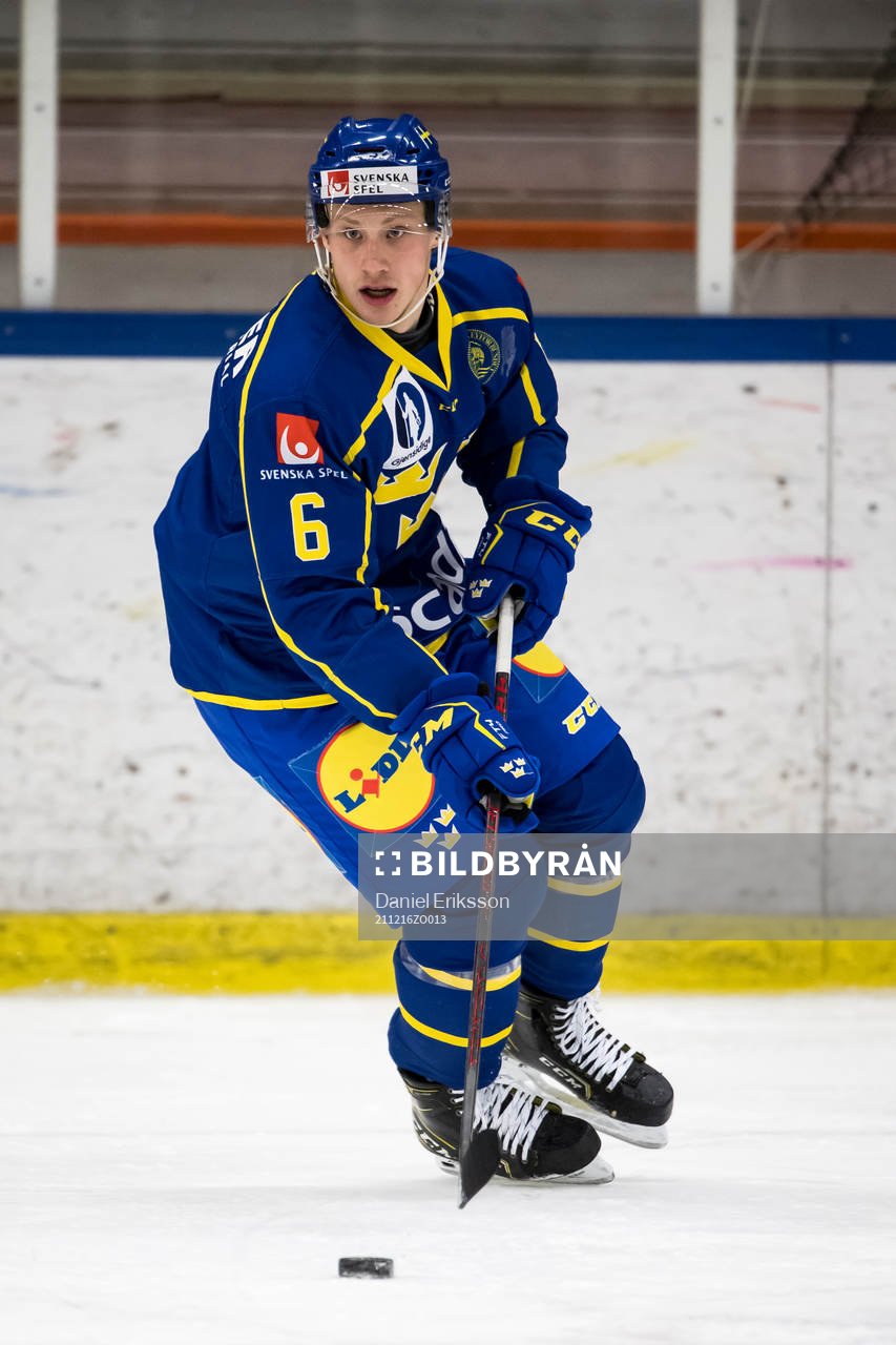 Sverige U19 Theodor Johnsson