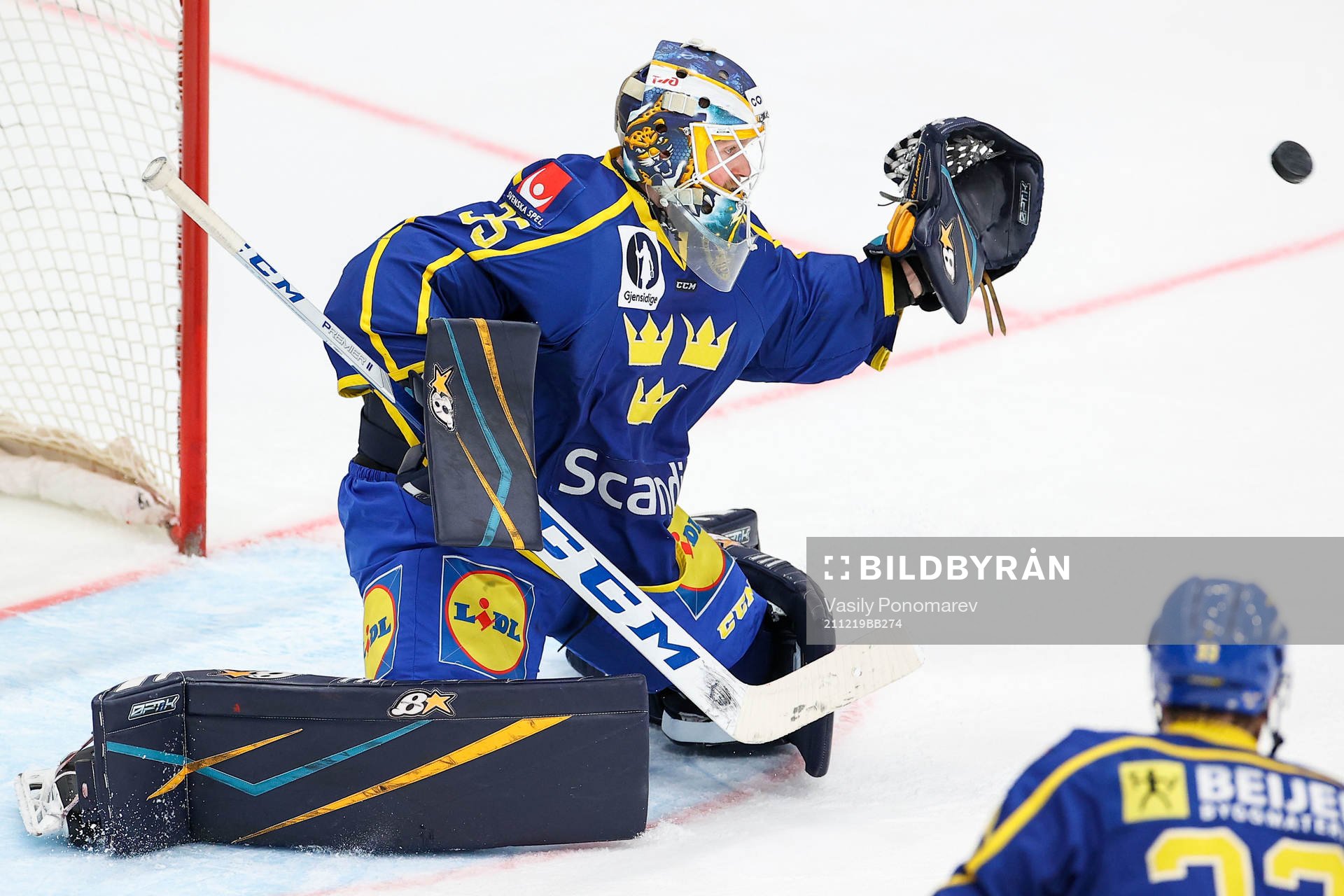 Goalkeeper Magnus Hellberg of Sweden
