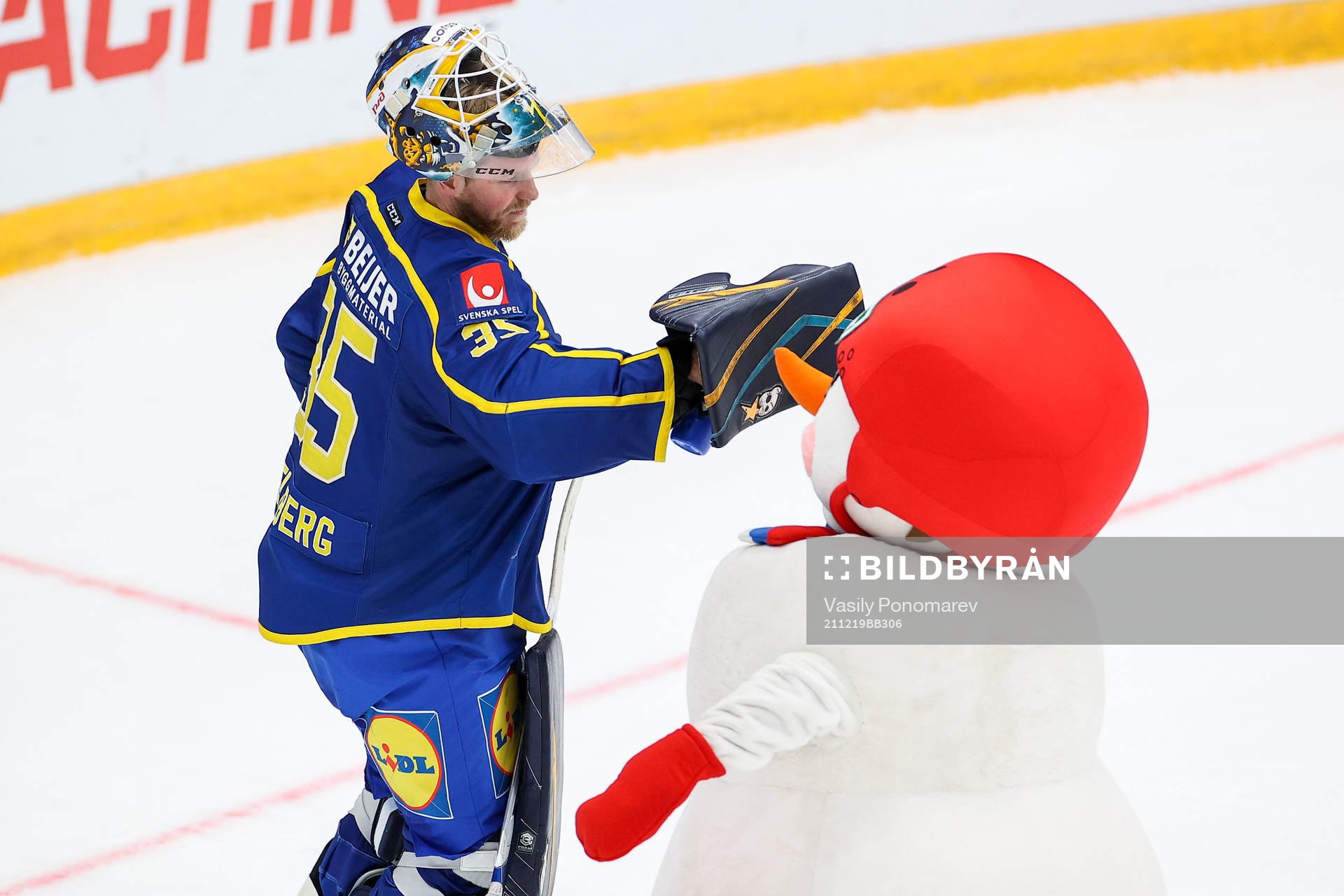 Goalkeeper Magnus Hellberg of Sweden