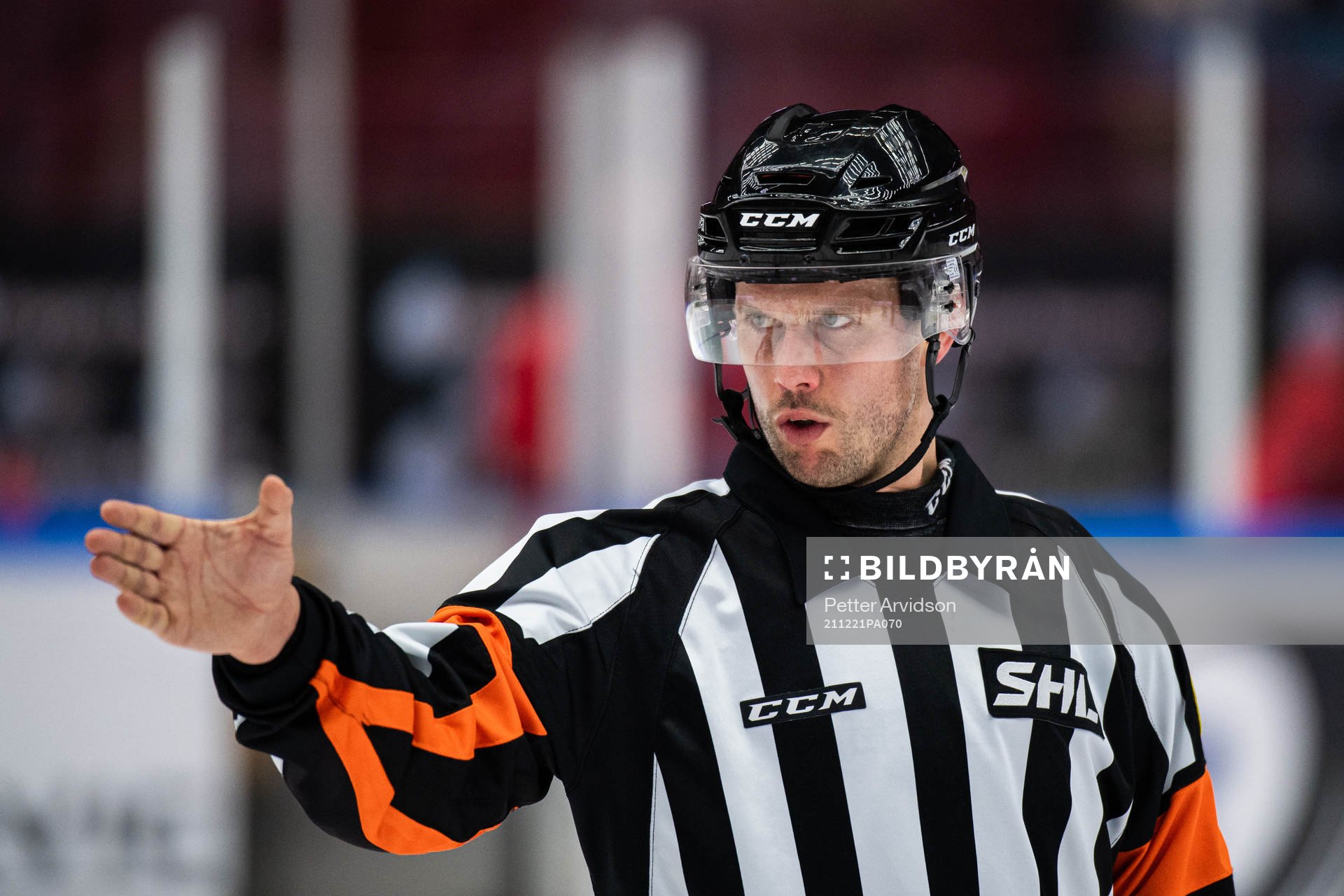 Domare Johan Magnusson