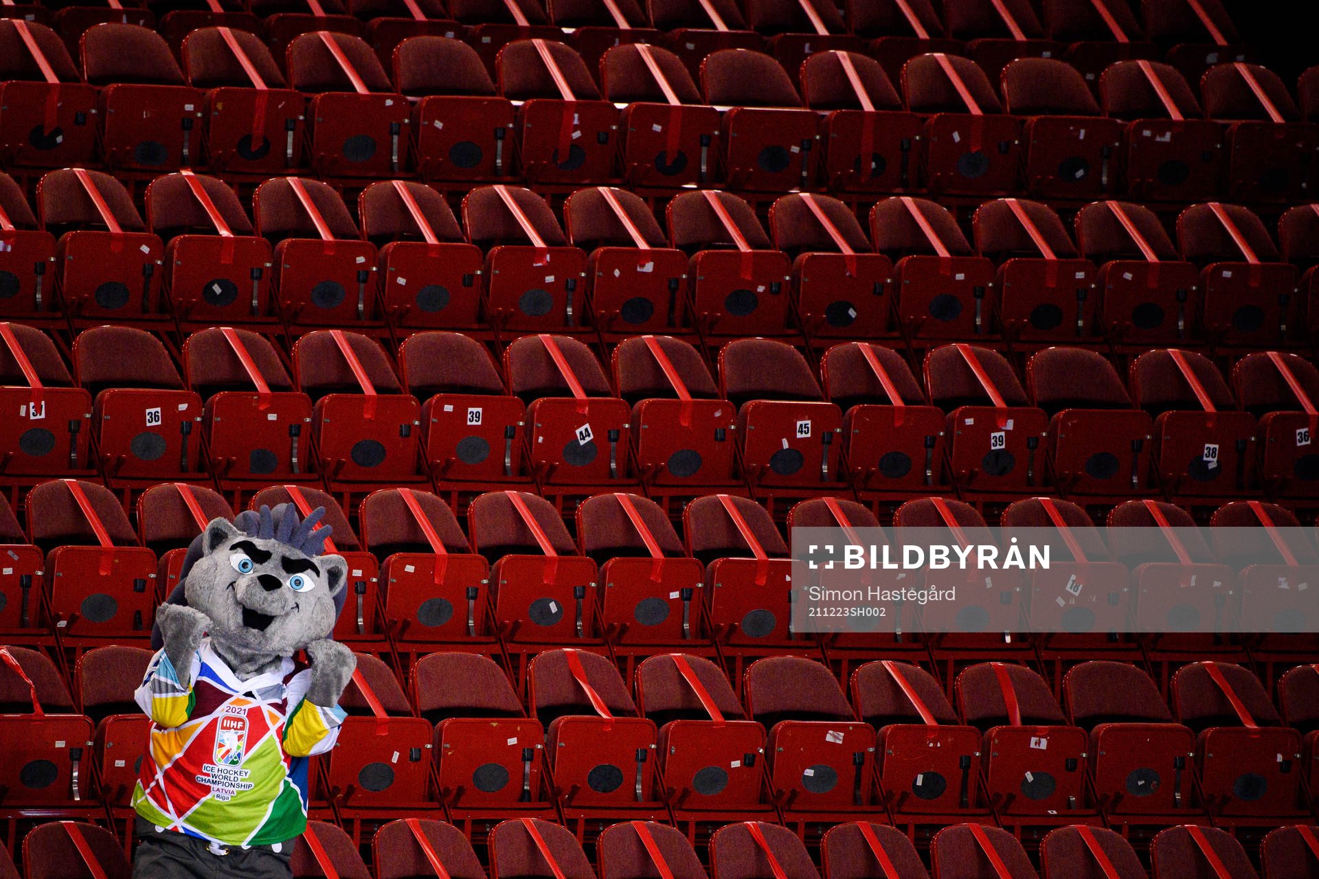 This picture is part of Bildbyrån’s selection of best