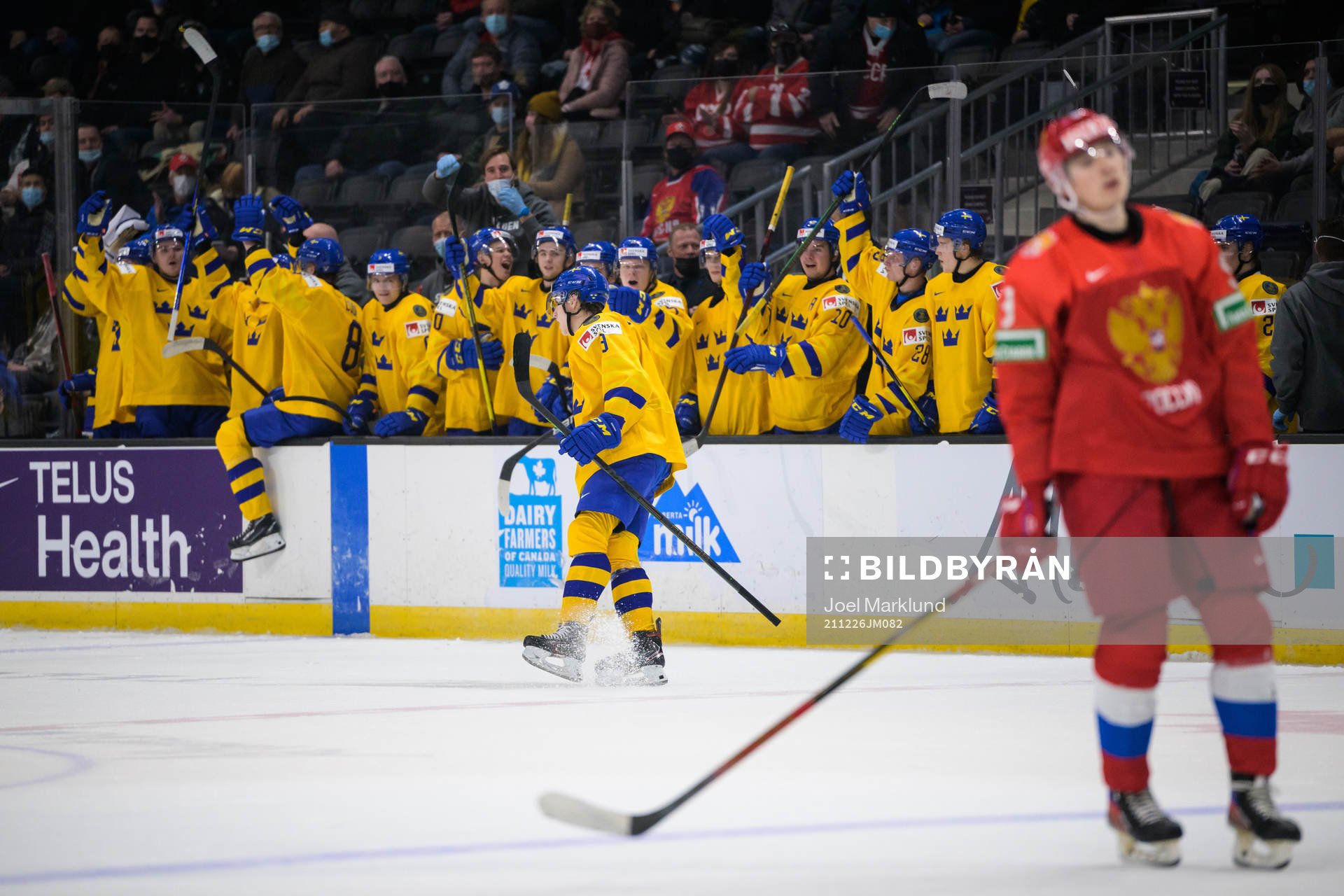 Daniel Ljungman of Sweden celebrates