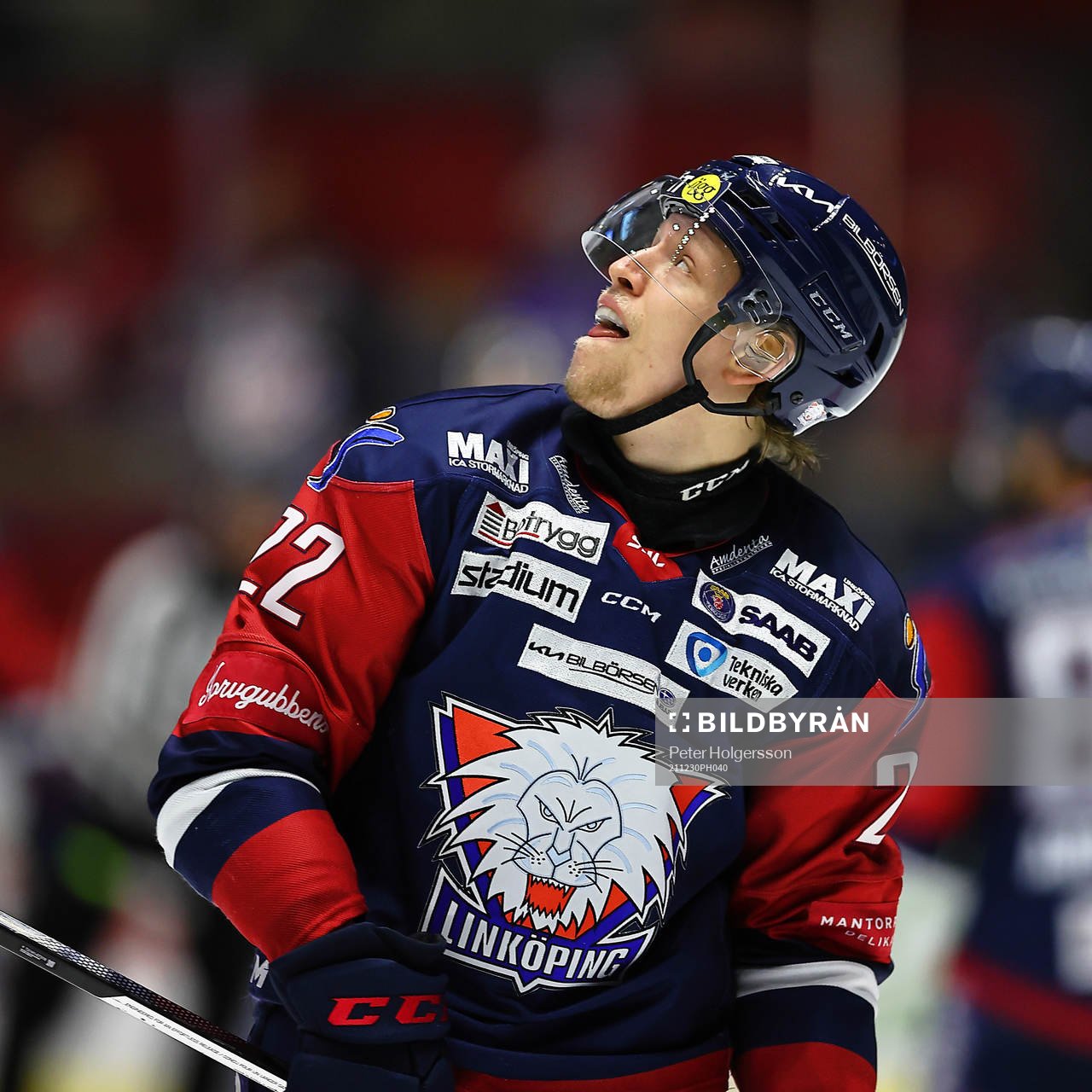 Linköpings Vilmos Gallo