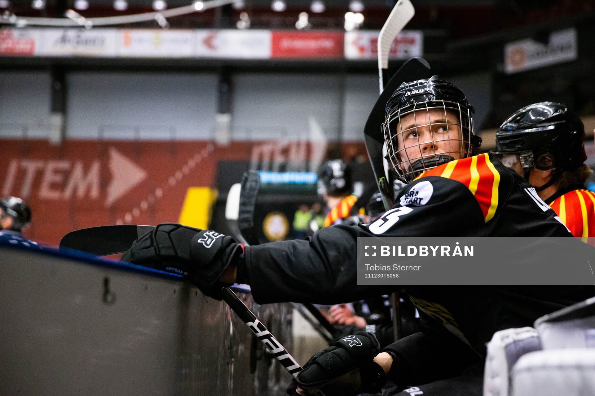 Brynäs Theo Lindstein