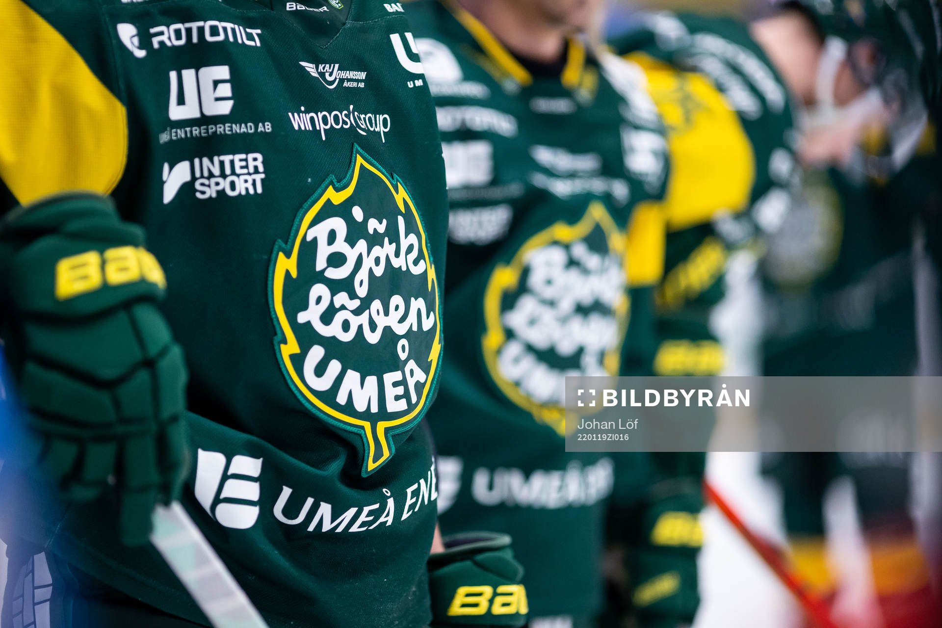 Björklövens logga