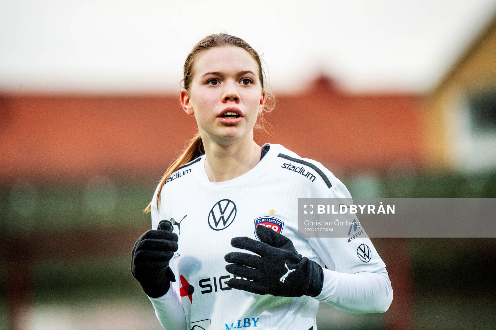 Rosengårds Bea Sprung