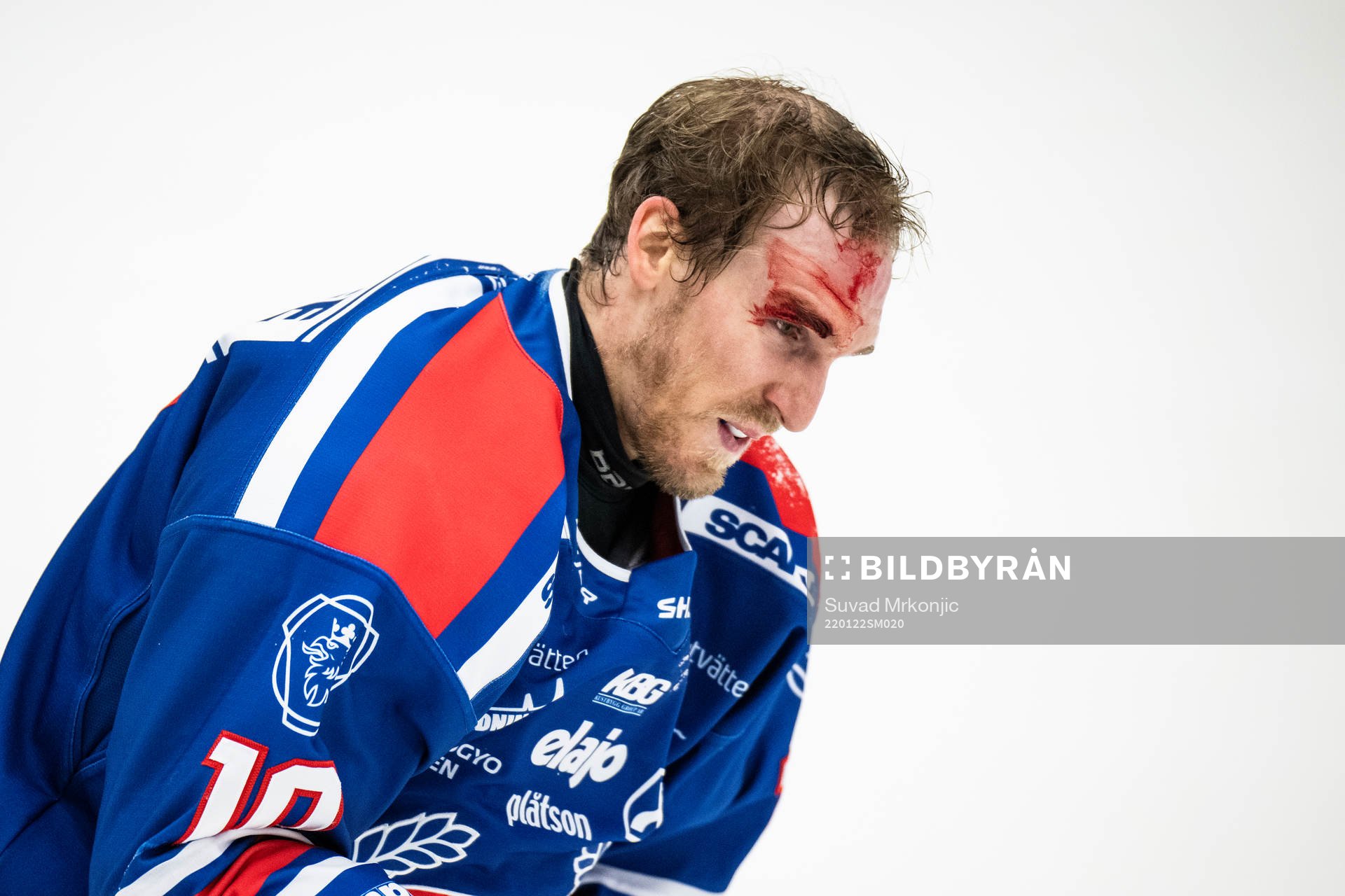 Oskarshamns Dale Weise blöder