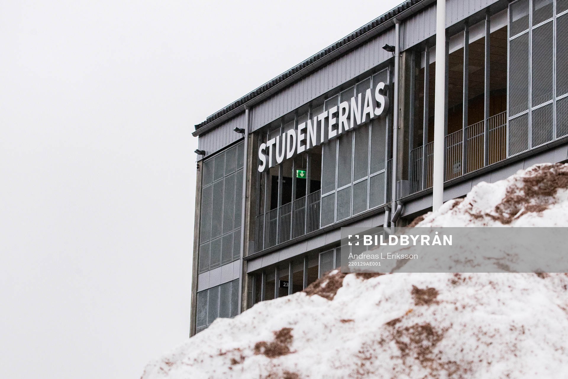 Sudenternas
