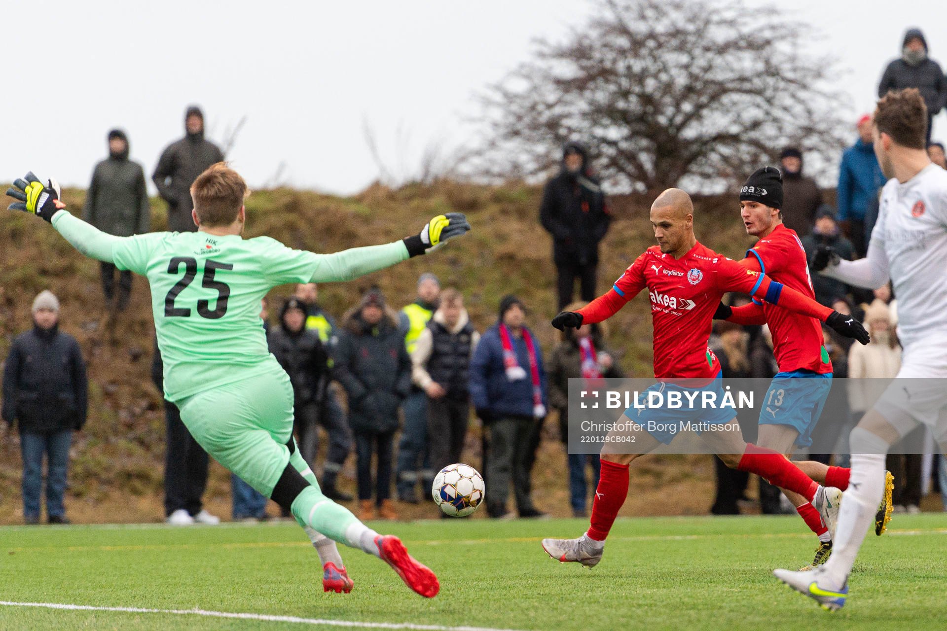 Helsingborgs Anthony van