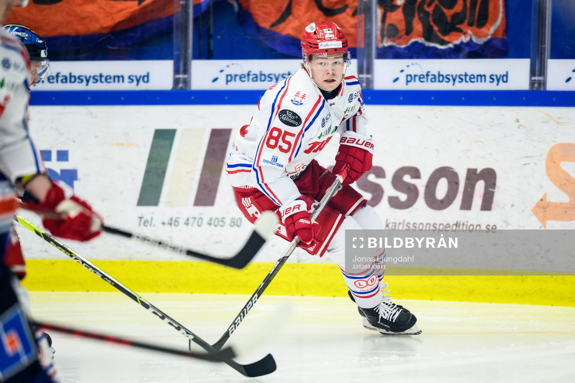 Timrås Filip Westerlund