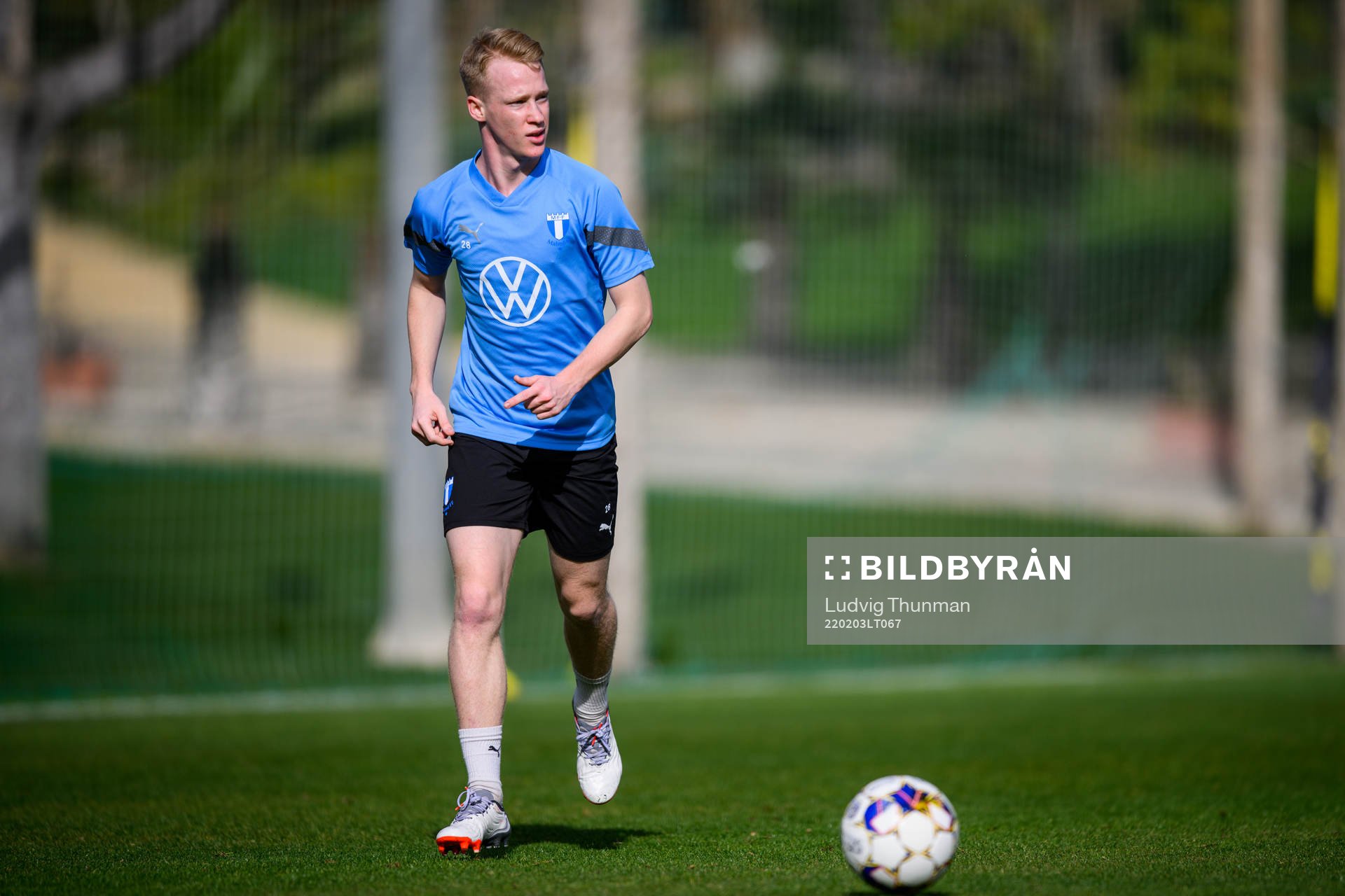 David Edvardsson