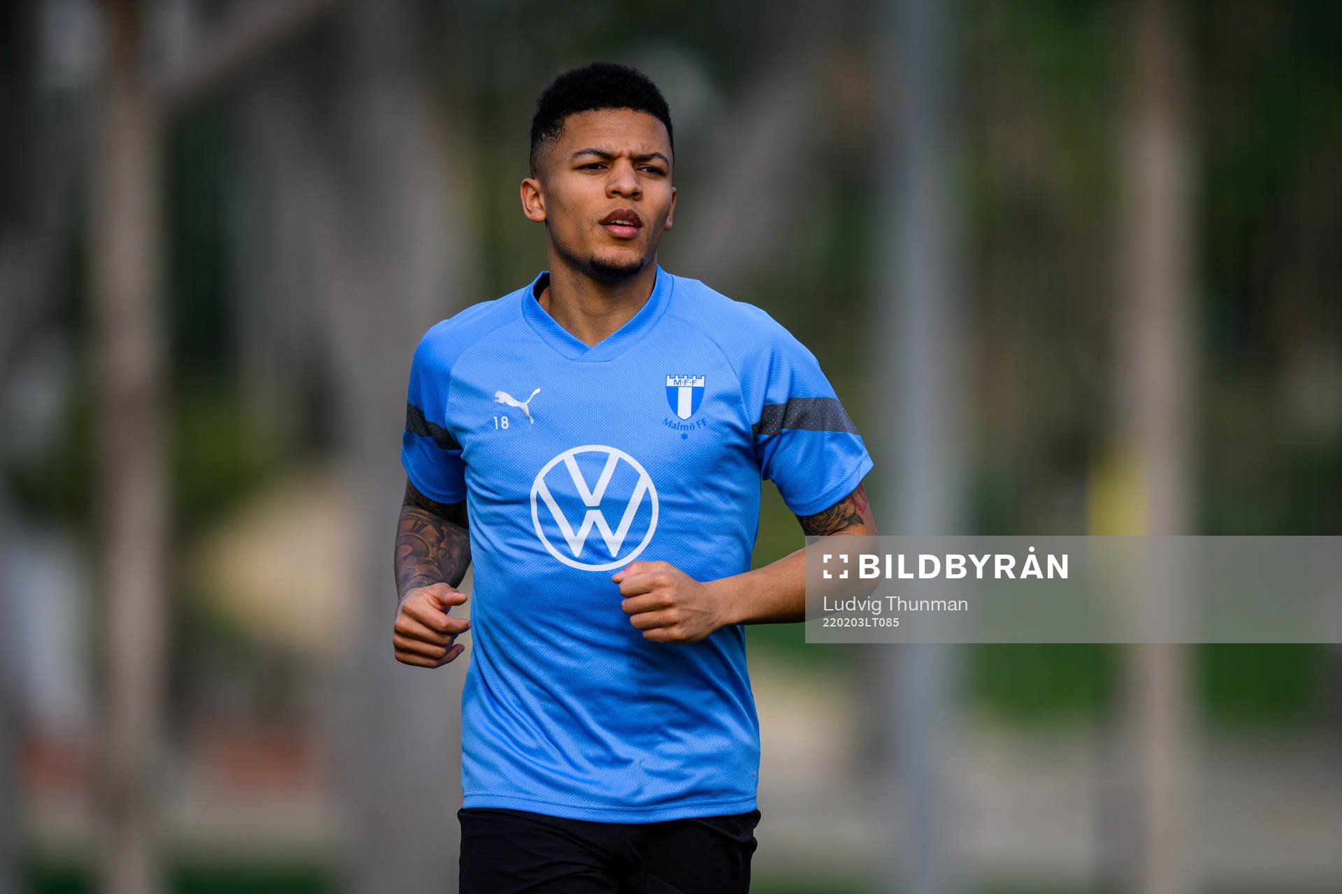 Romain Gall