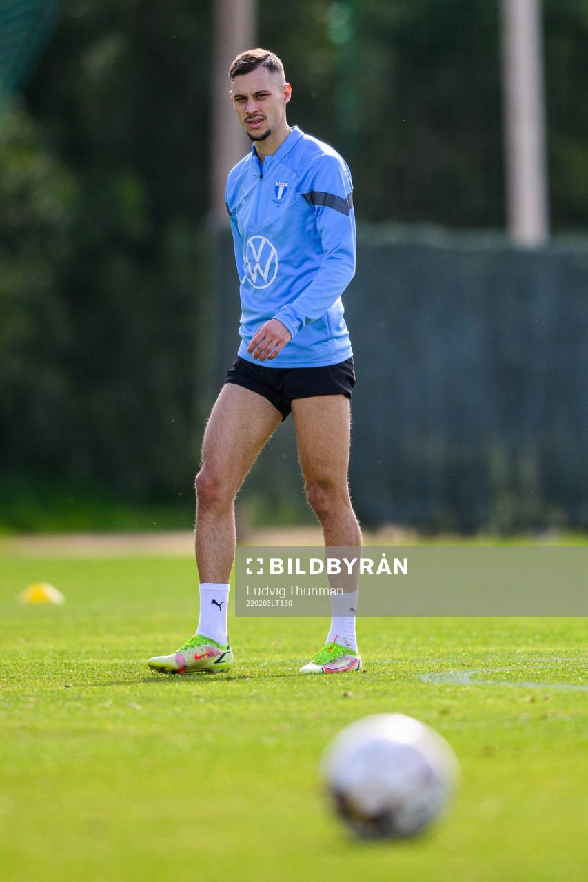 Veljko Birmancevic