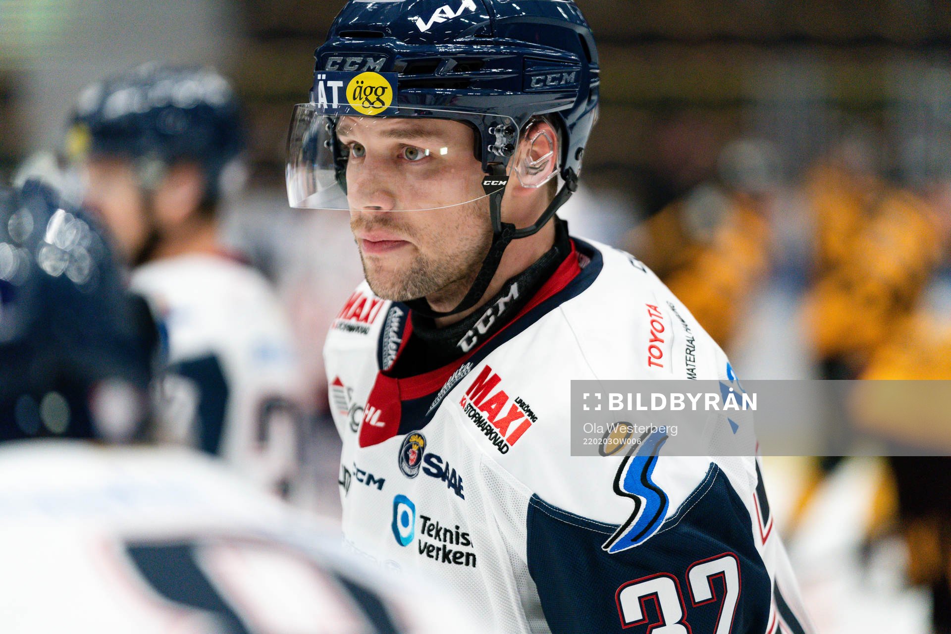 Linköpings Markus Modigs