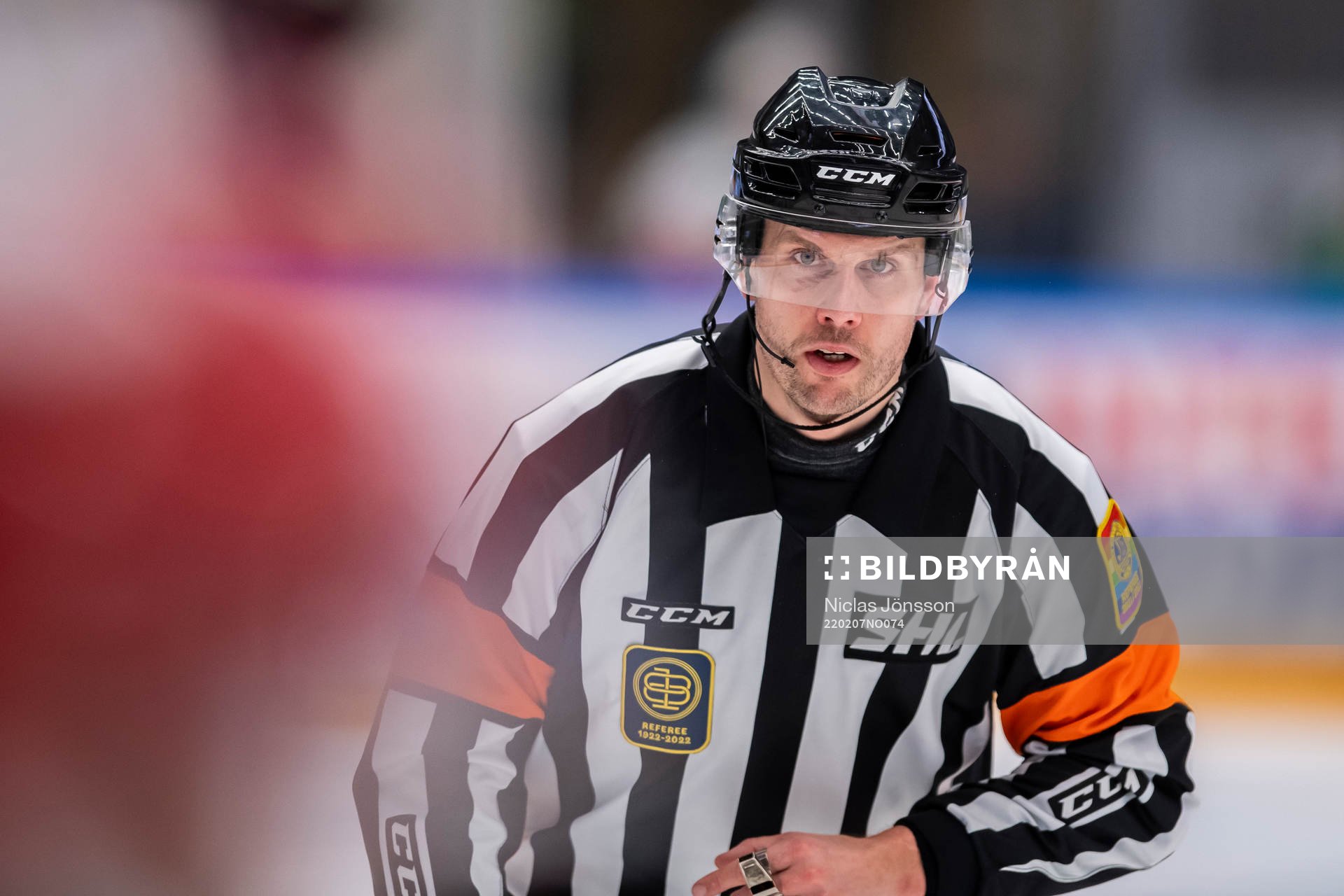 Domare Johan Magnusson