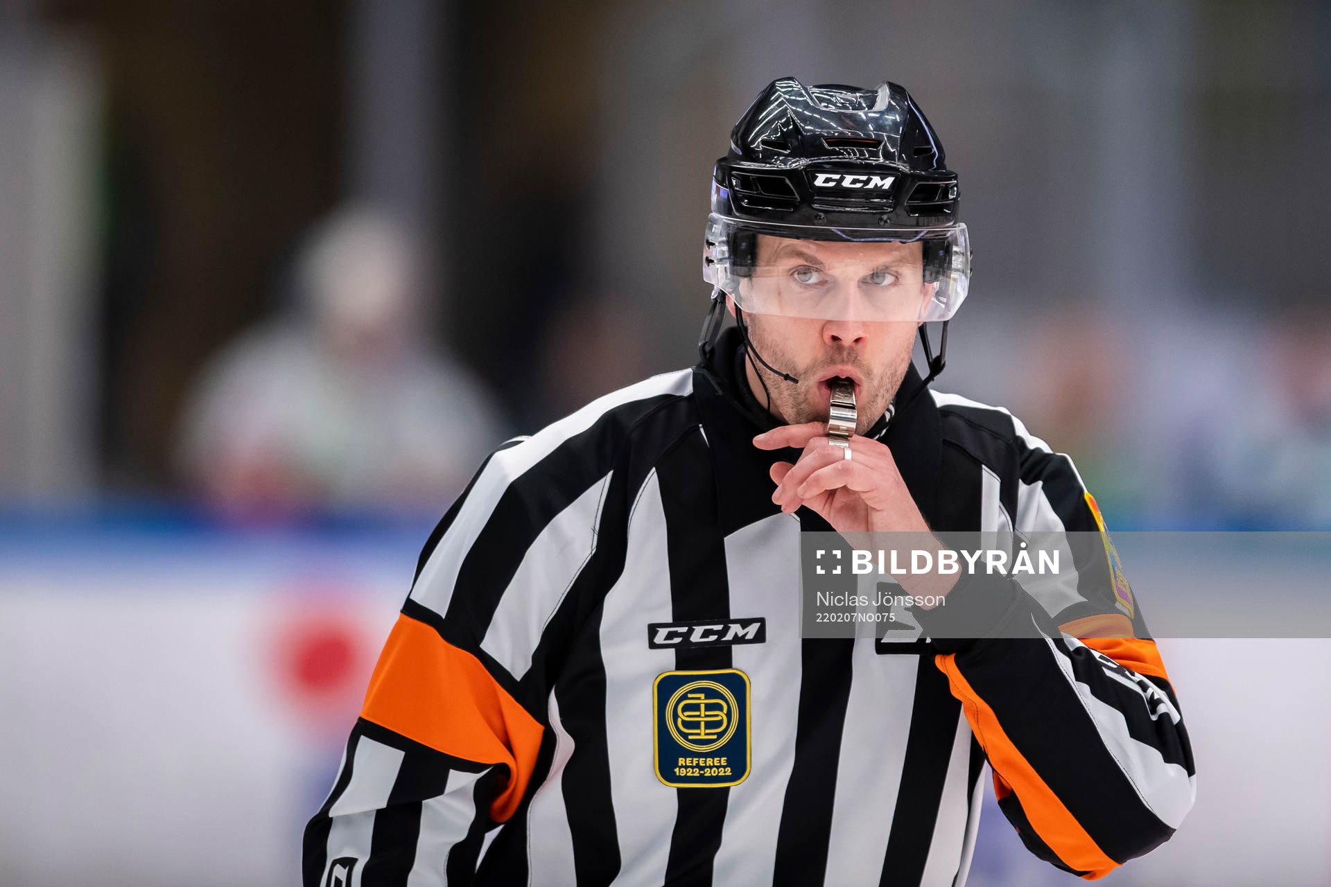 Domare Johan Magnusson