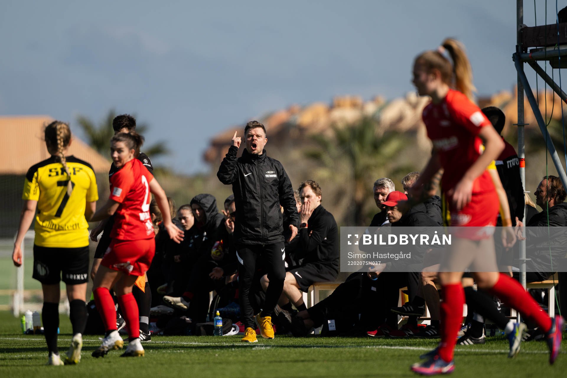 Head coach Alexander Straus of Brann