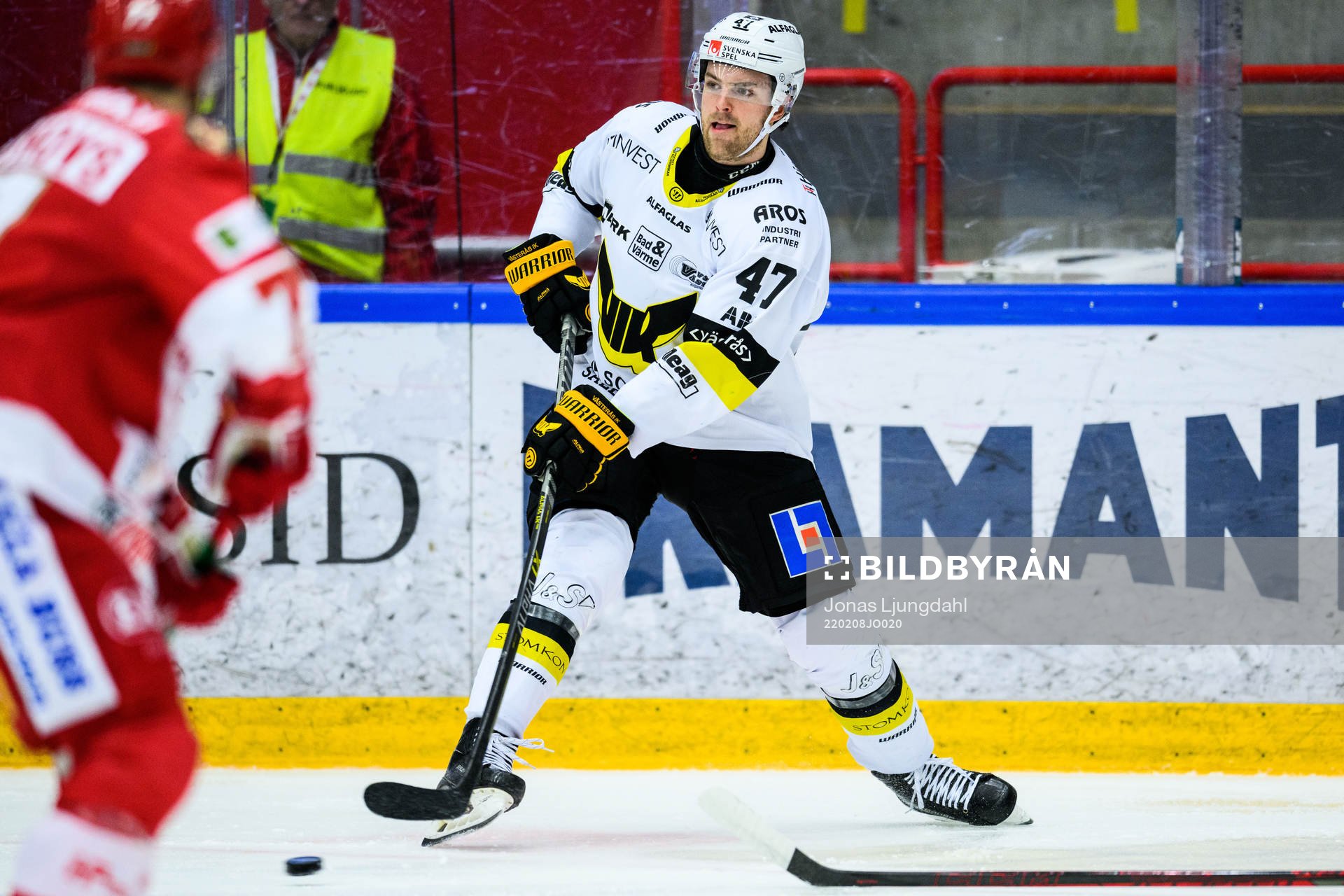 Västerås Logan Roe