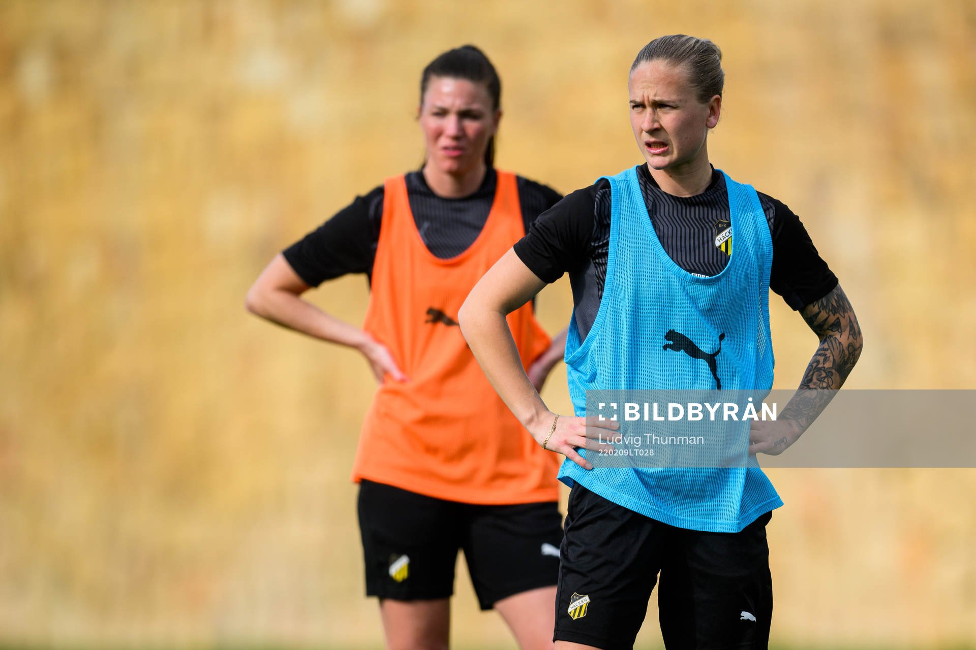 Filippa Curmark