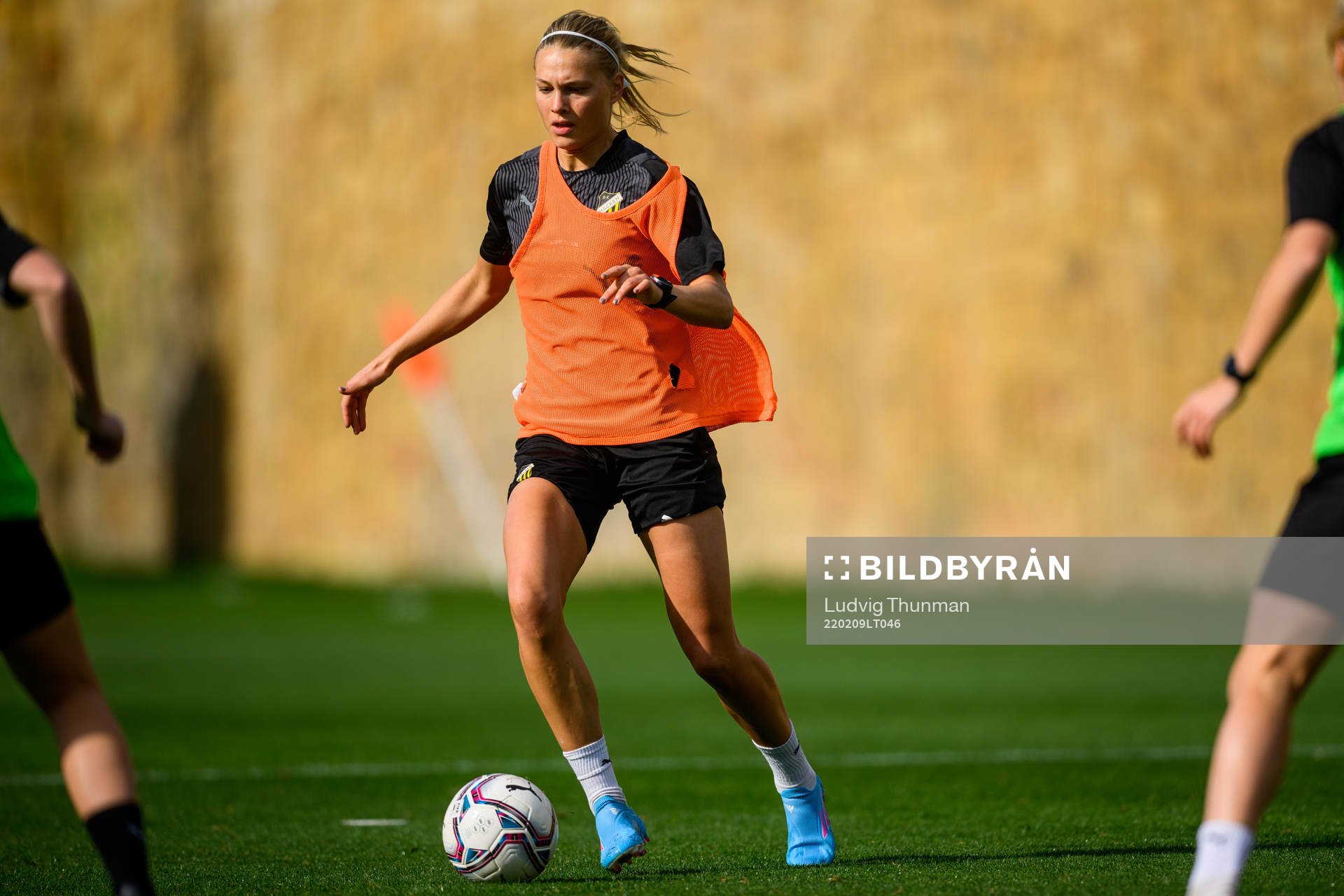 Stine Larsen