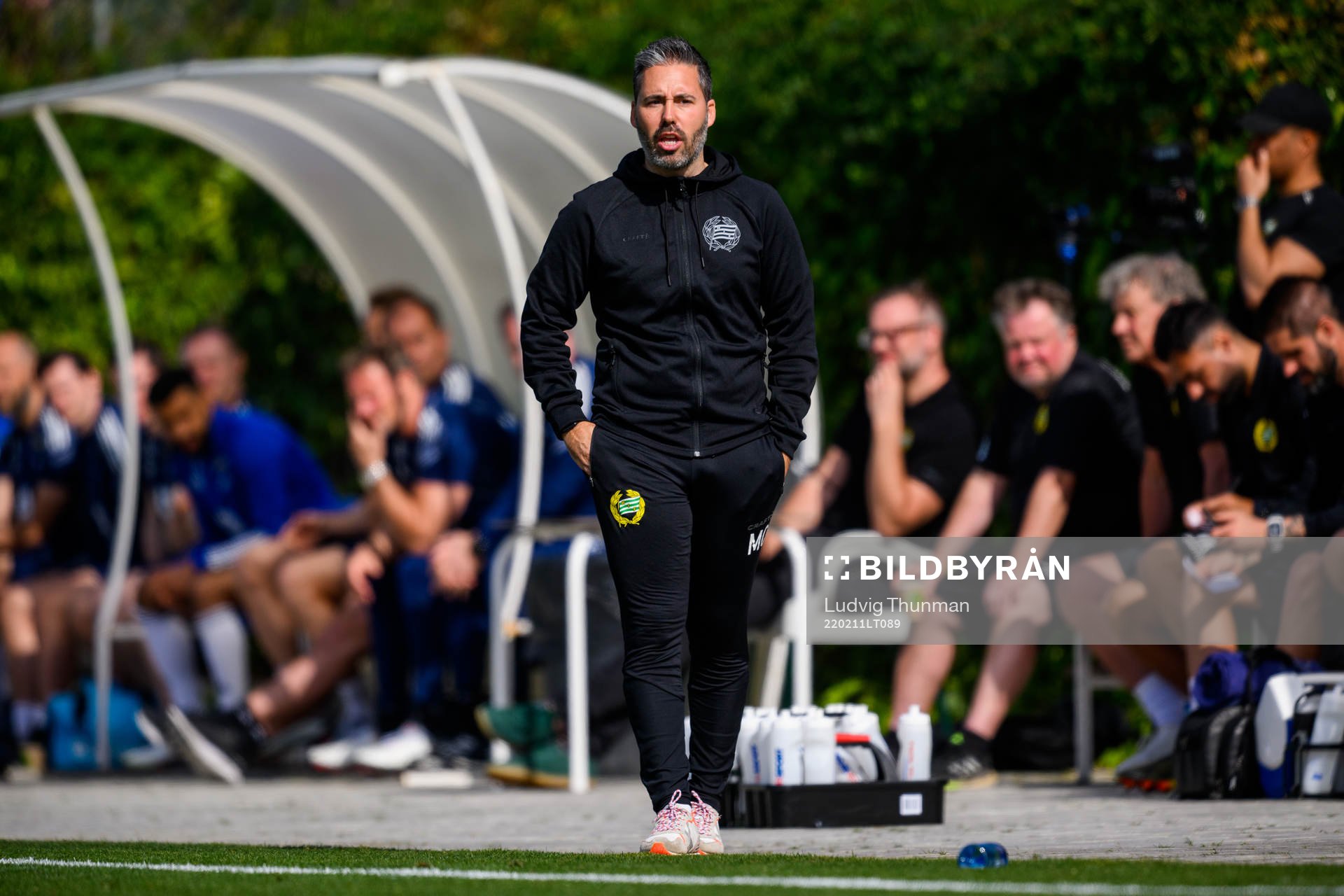 Martí Cifuentes, head coach of Hammarby