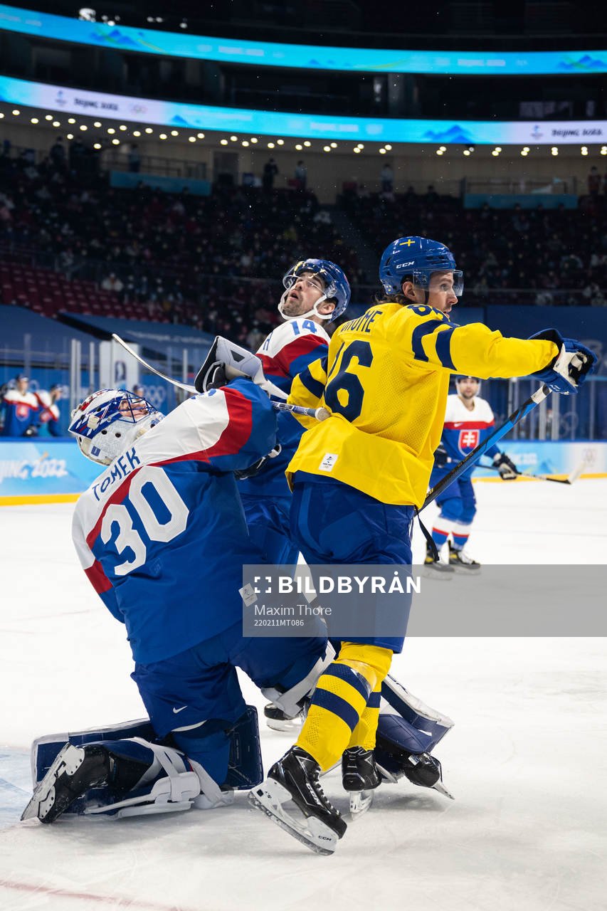 Goaltender Matej Tomek and Peter Ceresnak of Slovakia