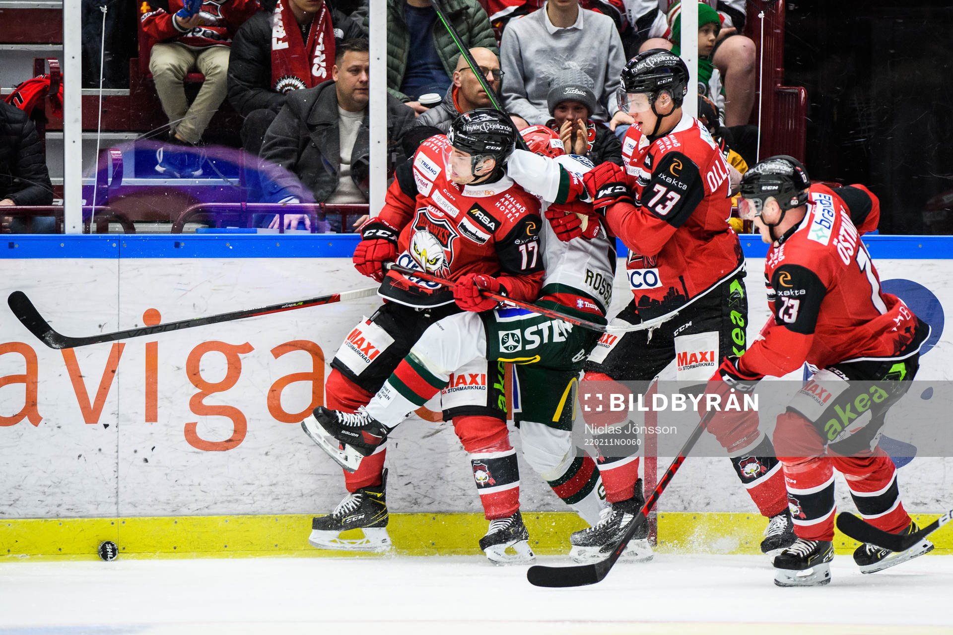 Malmö Redhawks Pathrik Westerholm och Adam Ollas Mattsson