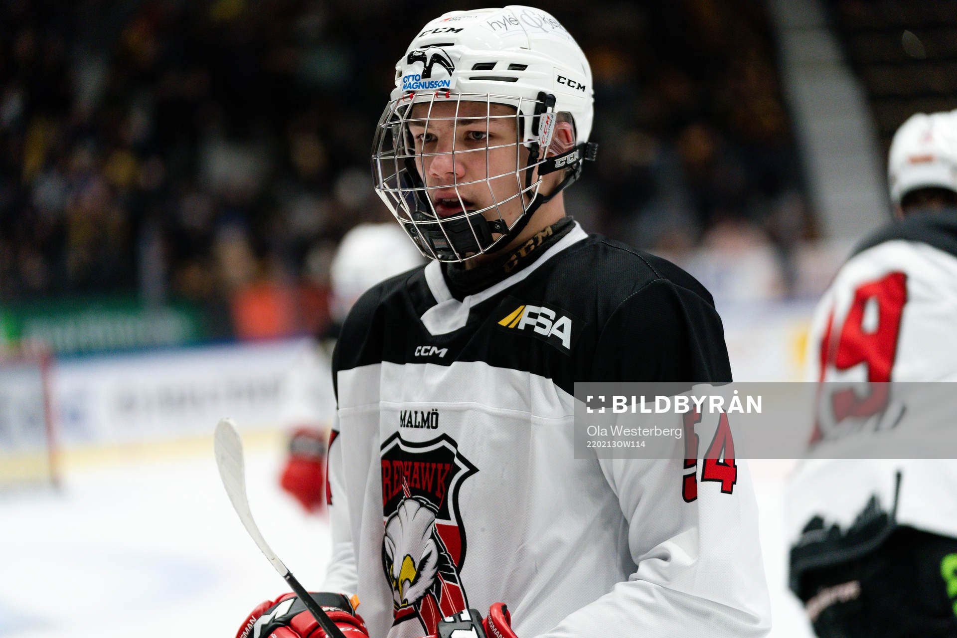 Malmö Redhawks Anton Wahlberg