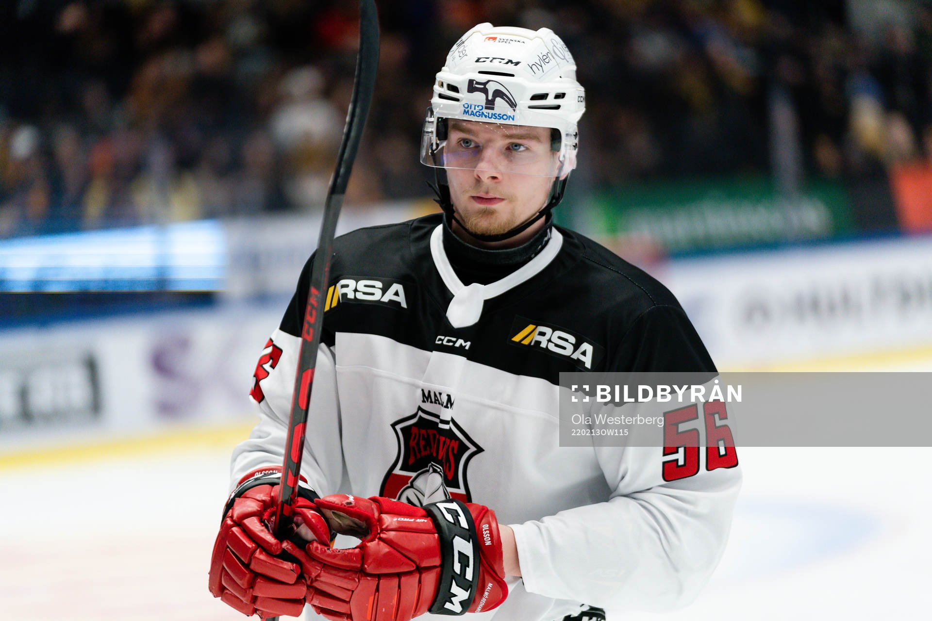 Malmö Redhawks Anton Olsson