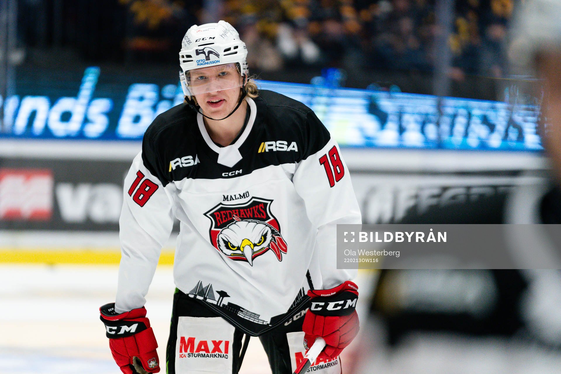 Malmö Redhawks Marcus Sylvegård