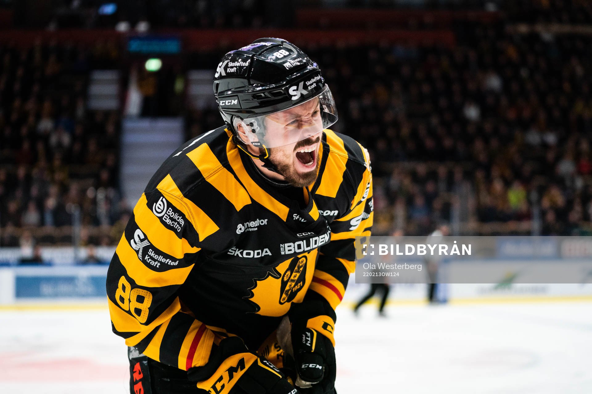 Skellefteås Jayce Hawryluk har ont