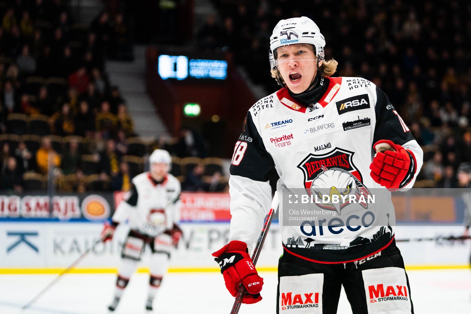 Malmö Redhawks Marcus Sylvegård jublar