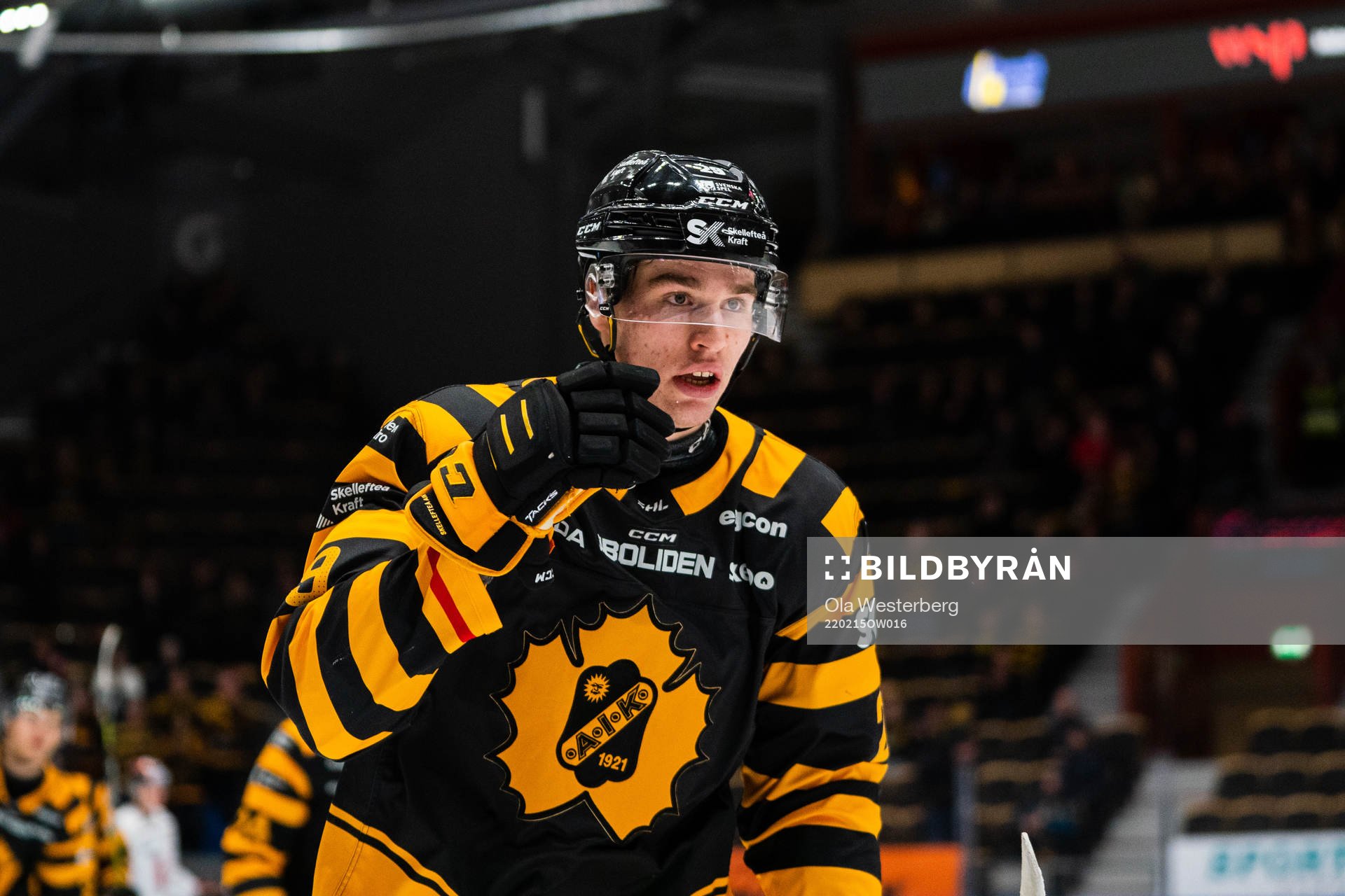 Skellefteås Albin Sundsvik jublar