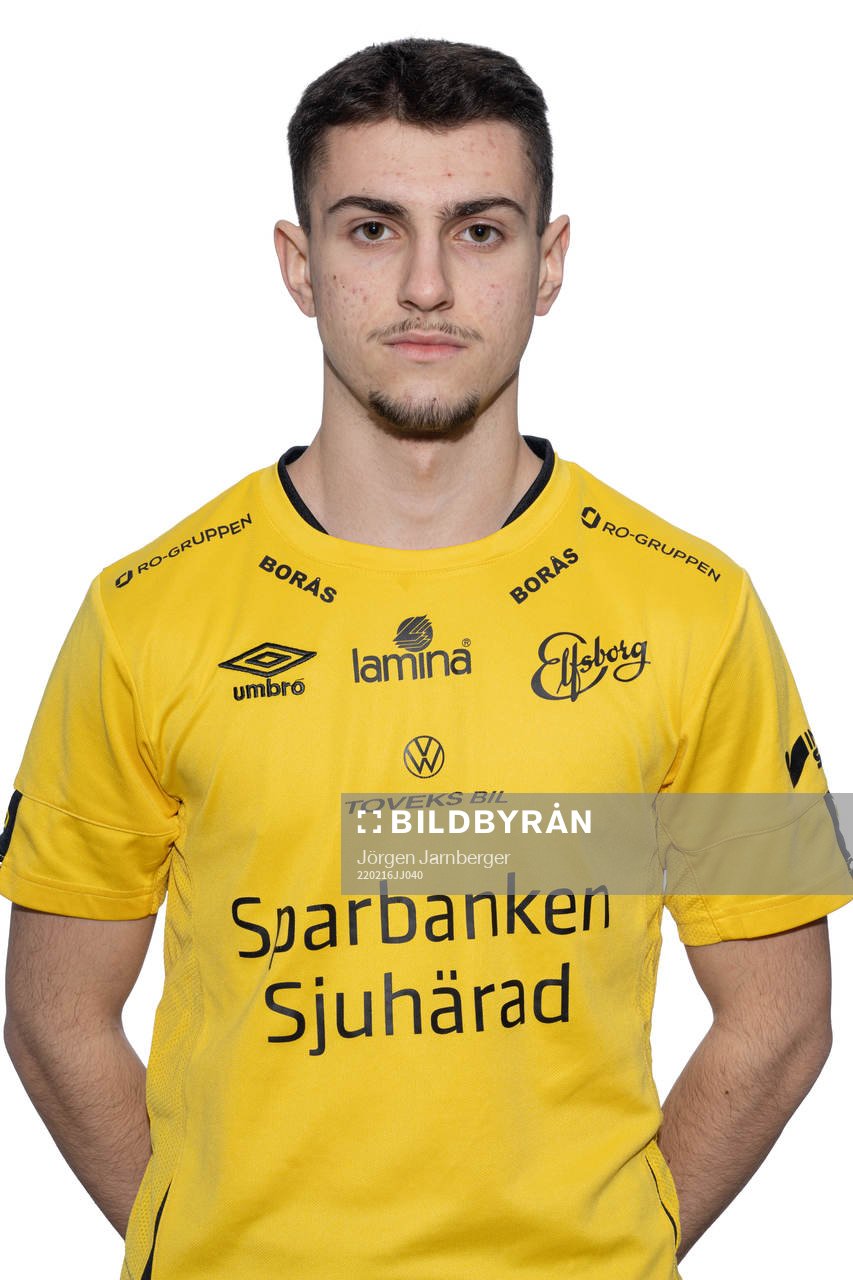 Hari Bajrektarevic