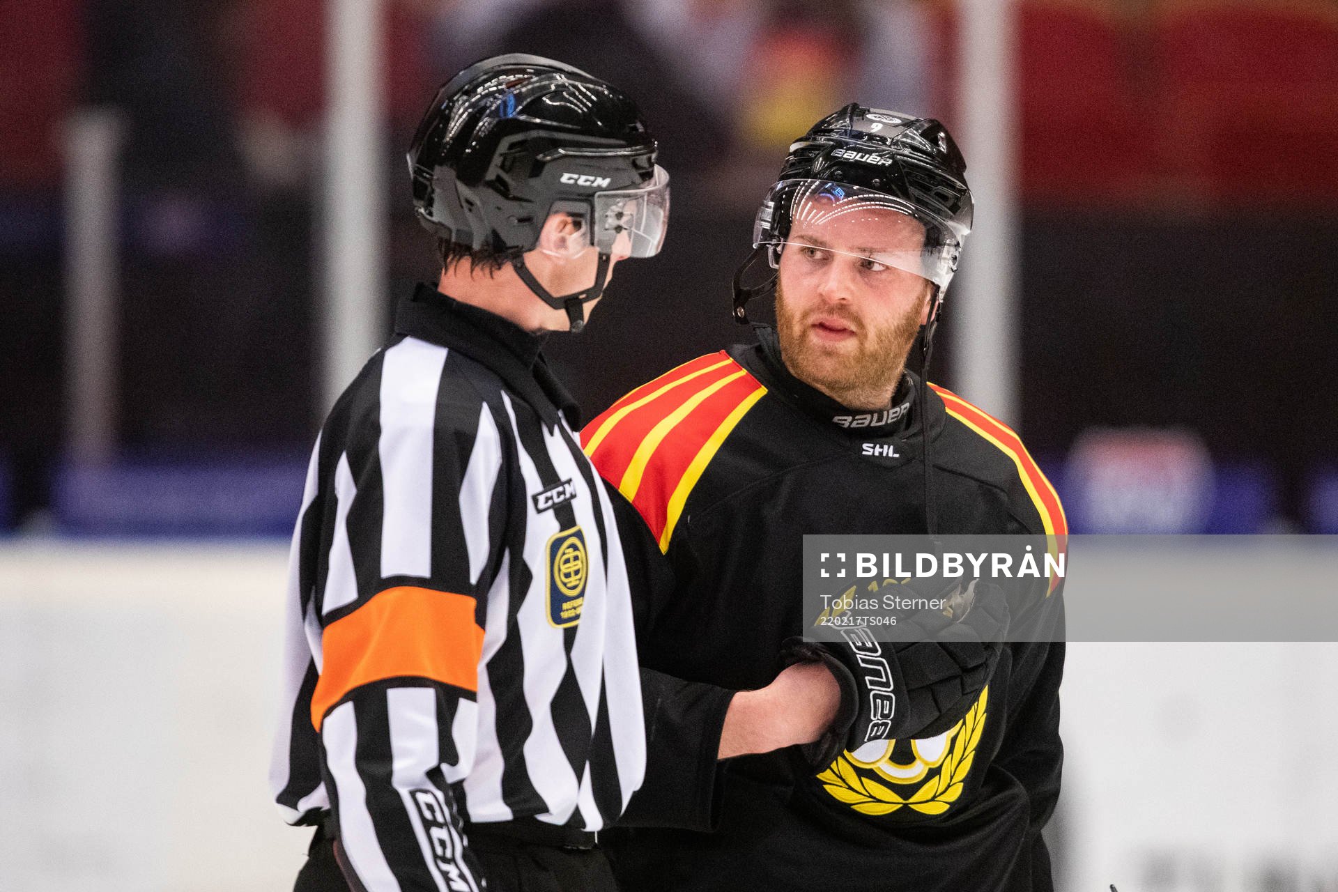 Domare Christoffer Holm och Brynäs Anton Mylläri