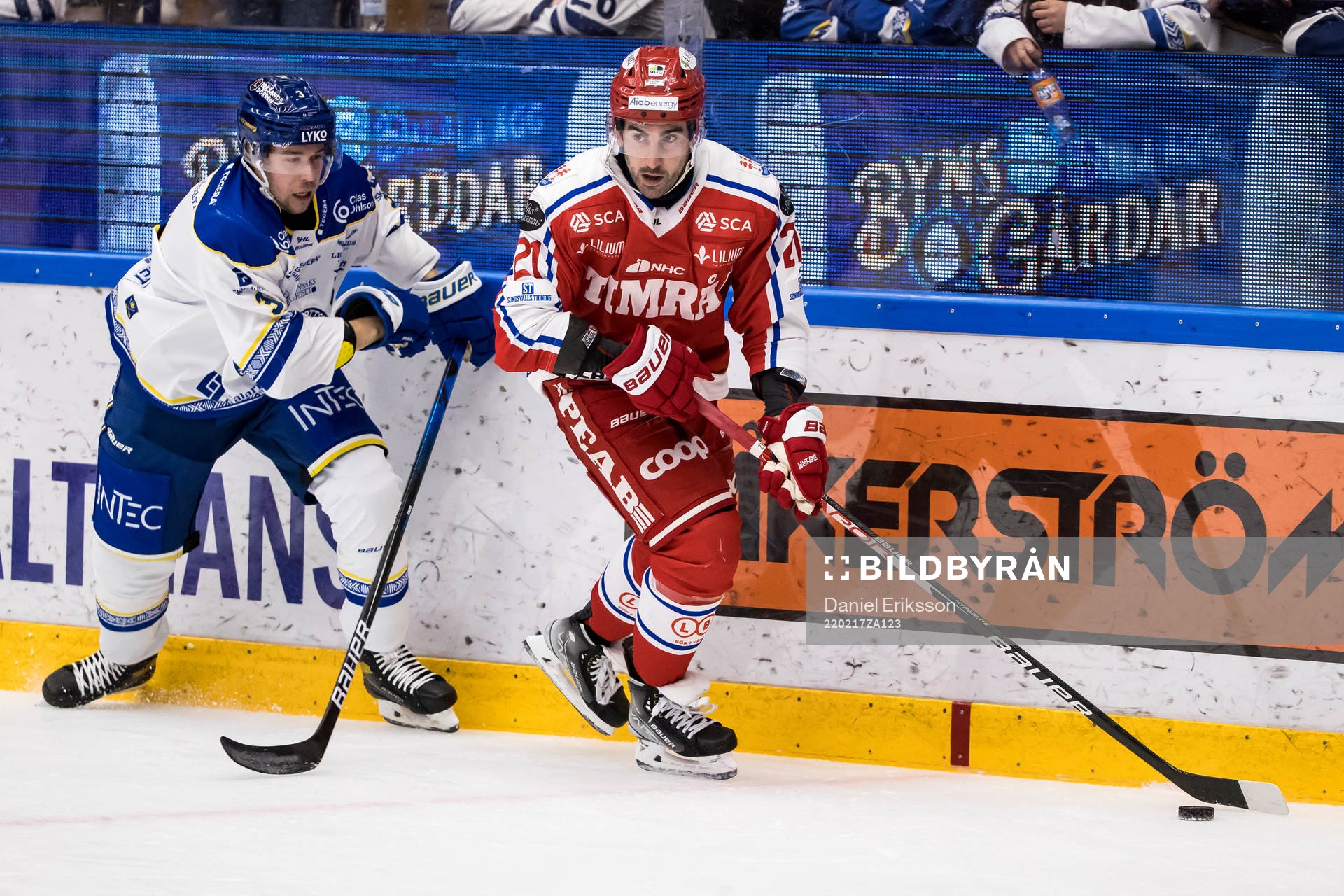 Leksands August Berg och Timrås Joey LaLeggia