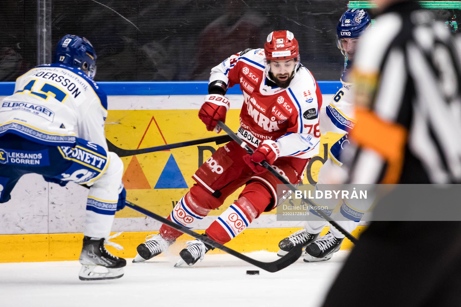 Timrås Robin Hanzl